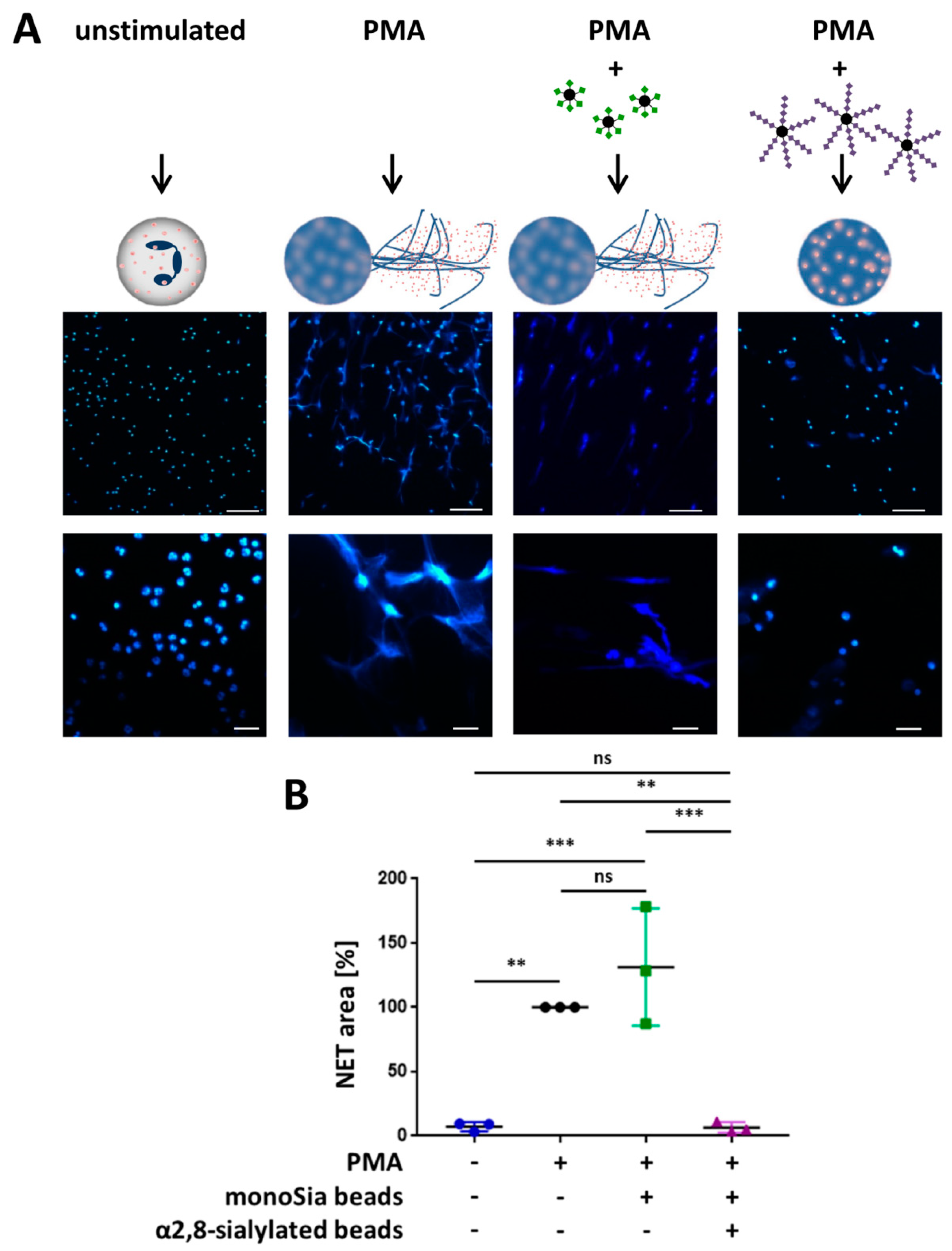 Nanomaterials 09 00610 g005