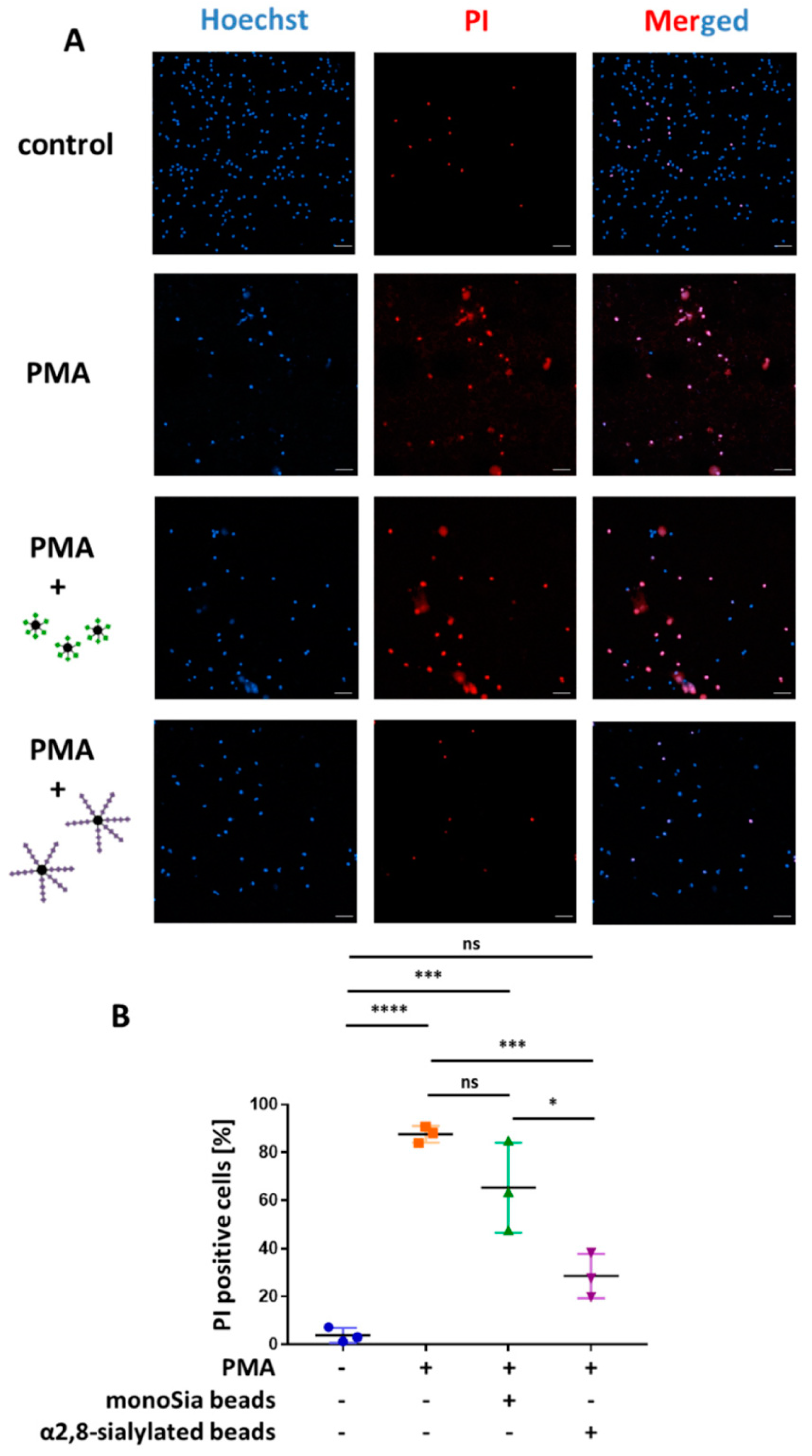 Nanomaterials 09 00610 g008