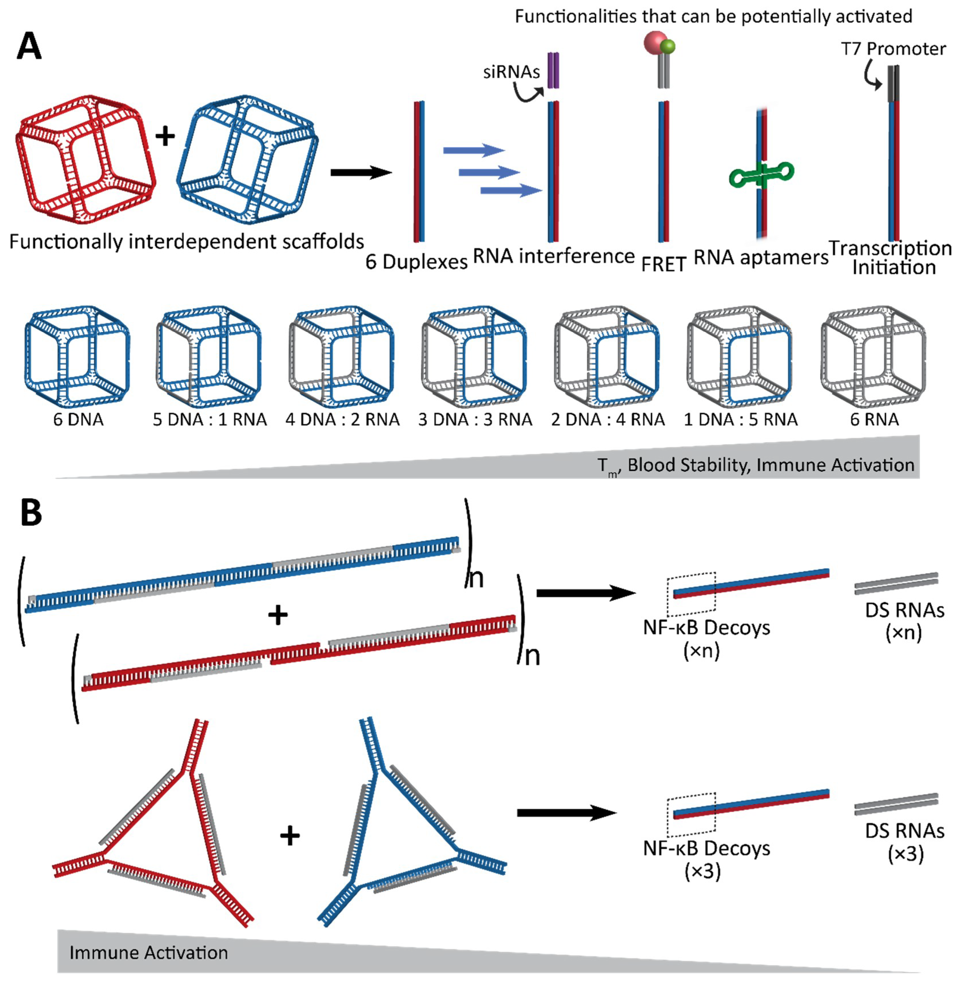 Nanomaterials 09 00611 g003