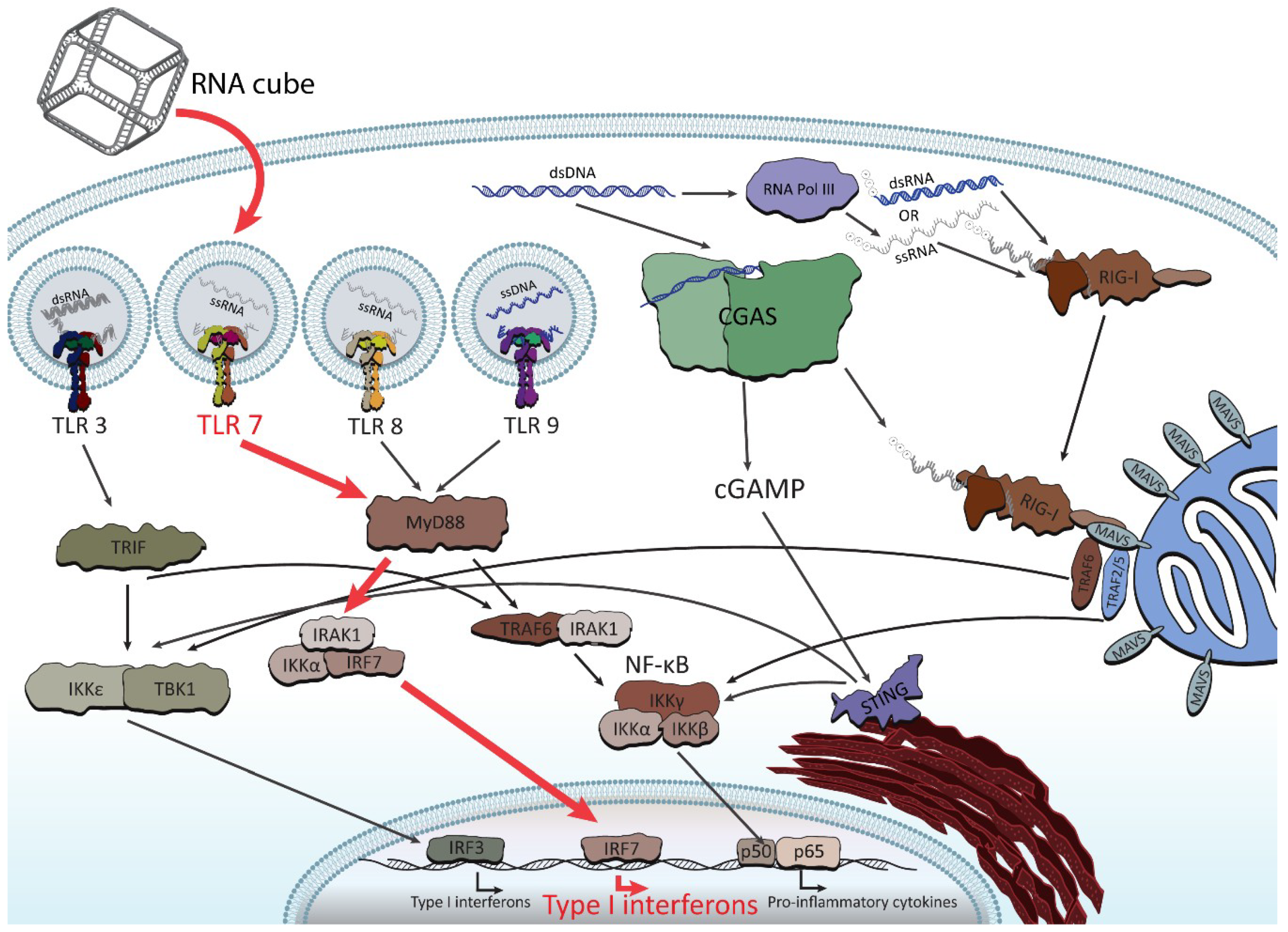 Nanomaterials 09 00611 g005