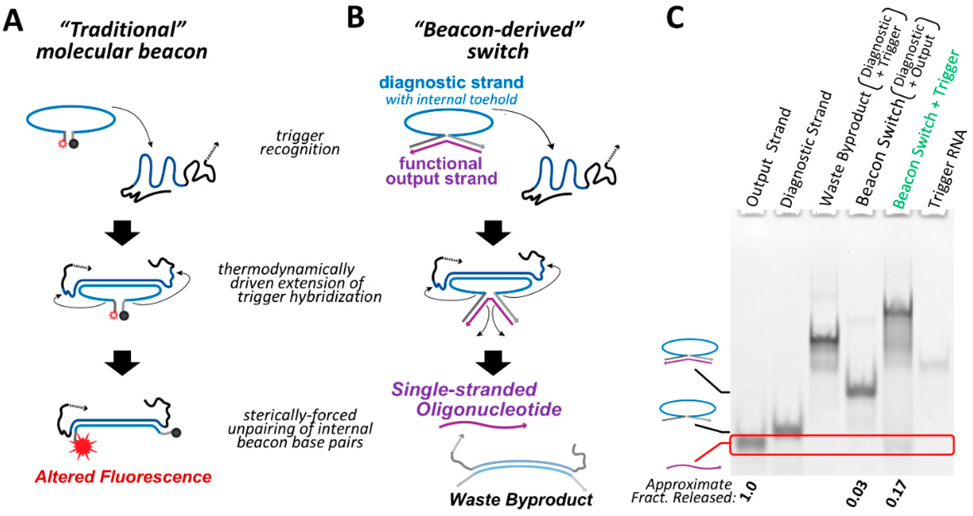 Nanomaterials 09 00615 g001