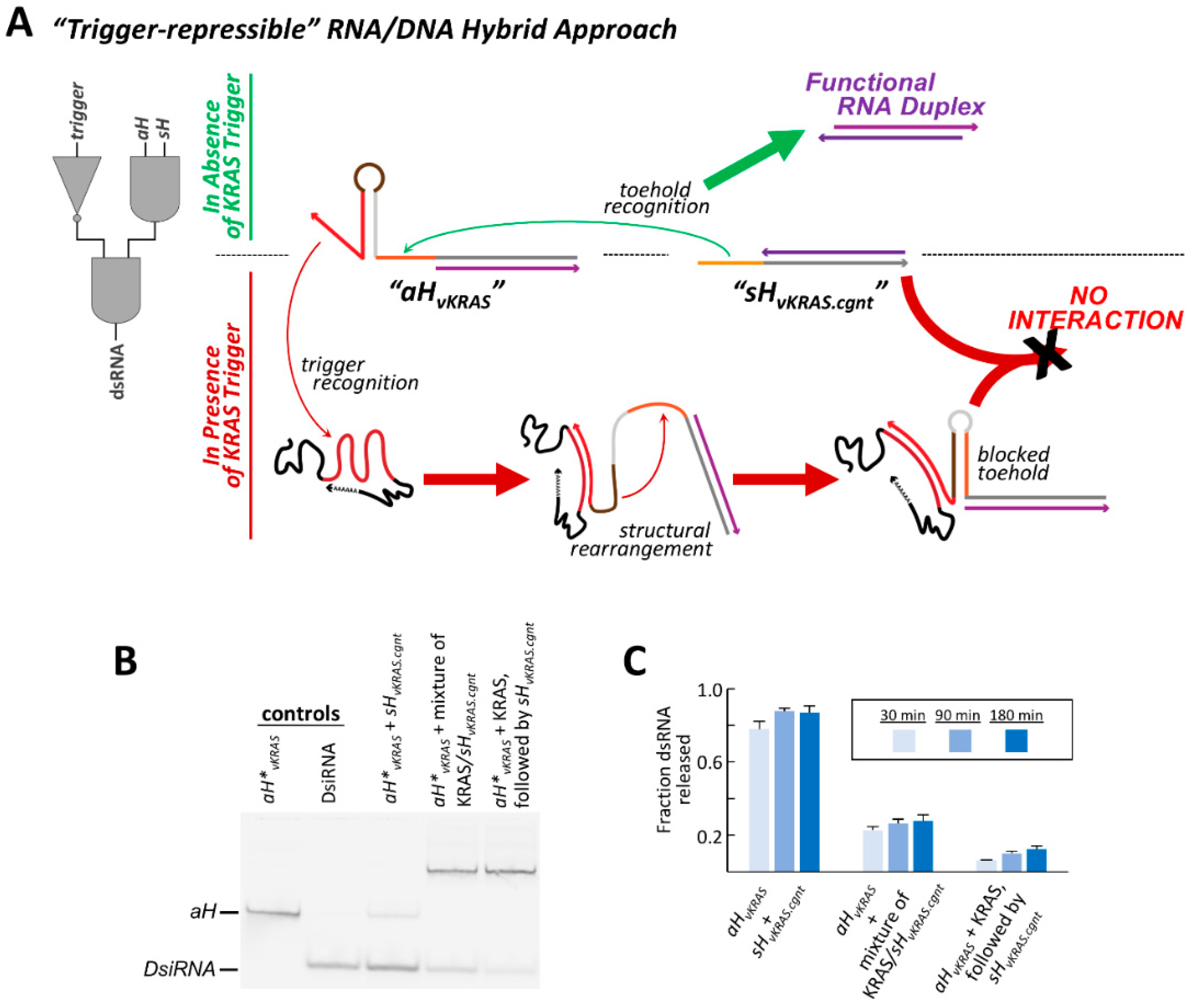 Nanomaterials 09 00615 g005