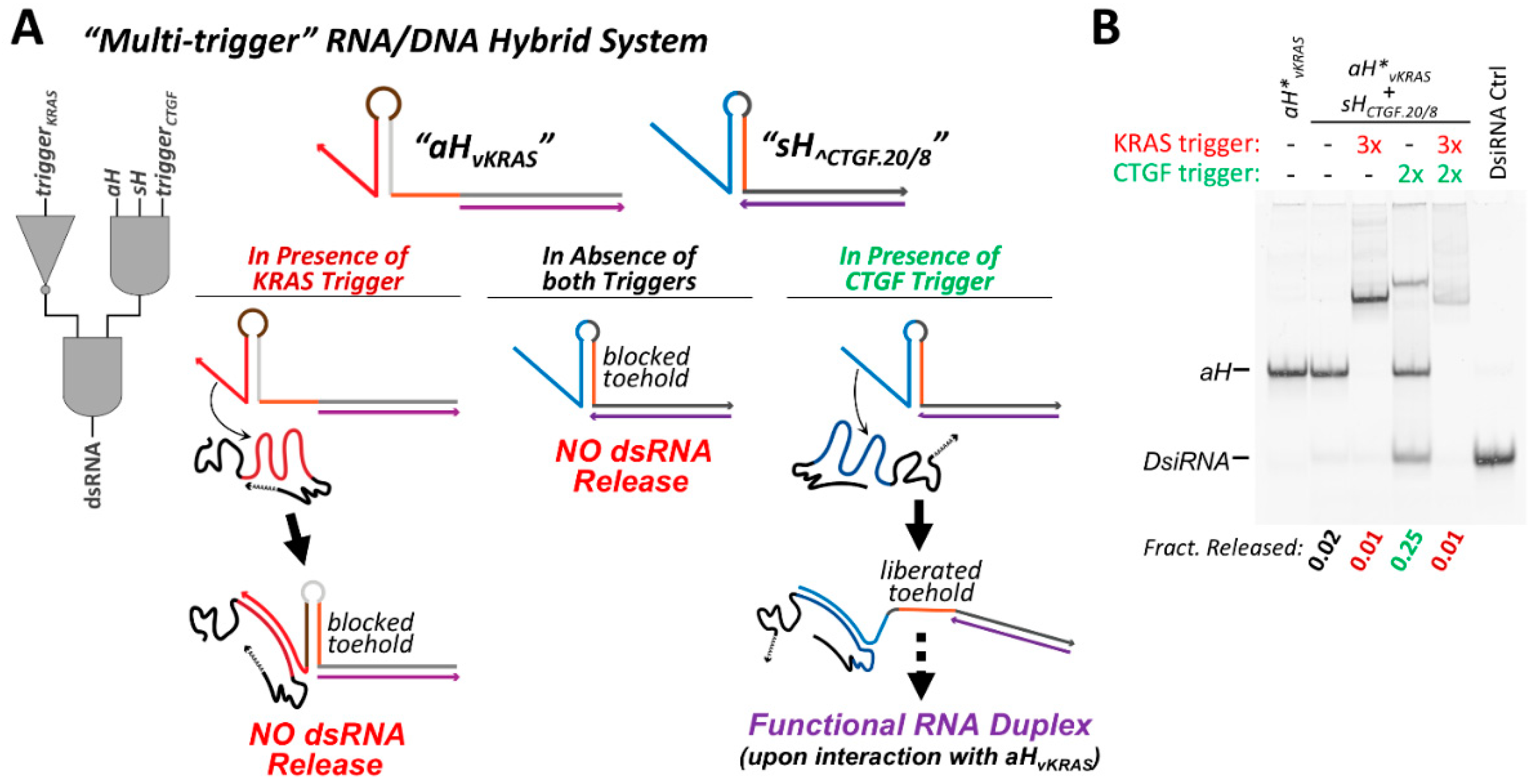 Nanomaterials 09 00615 g006