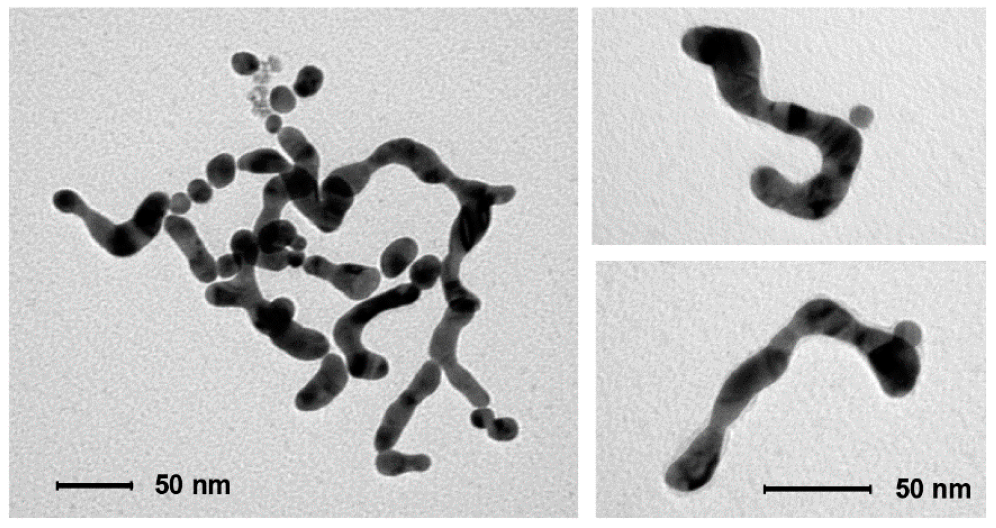 Nanomaterials 09 00622 g007