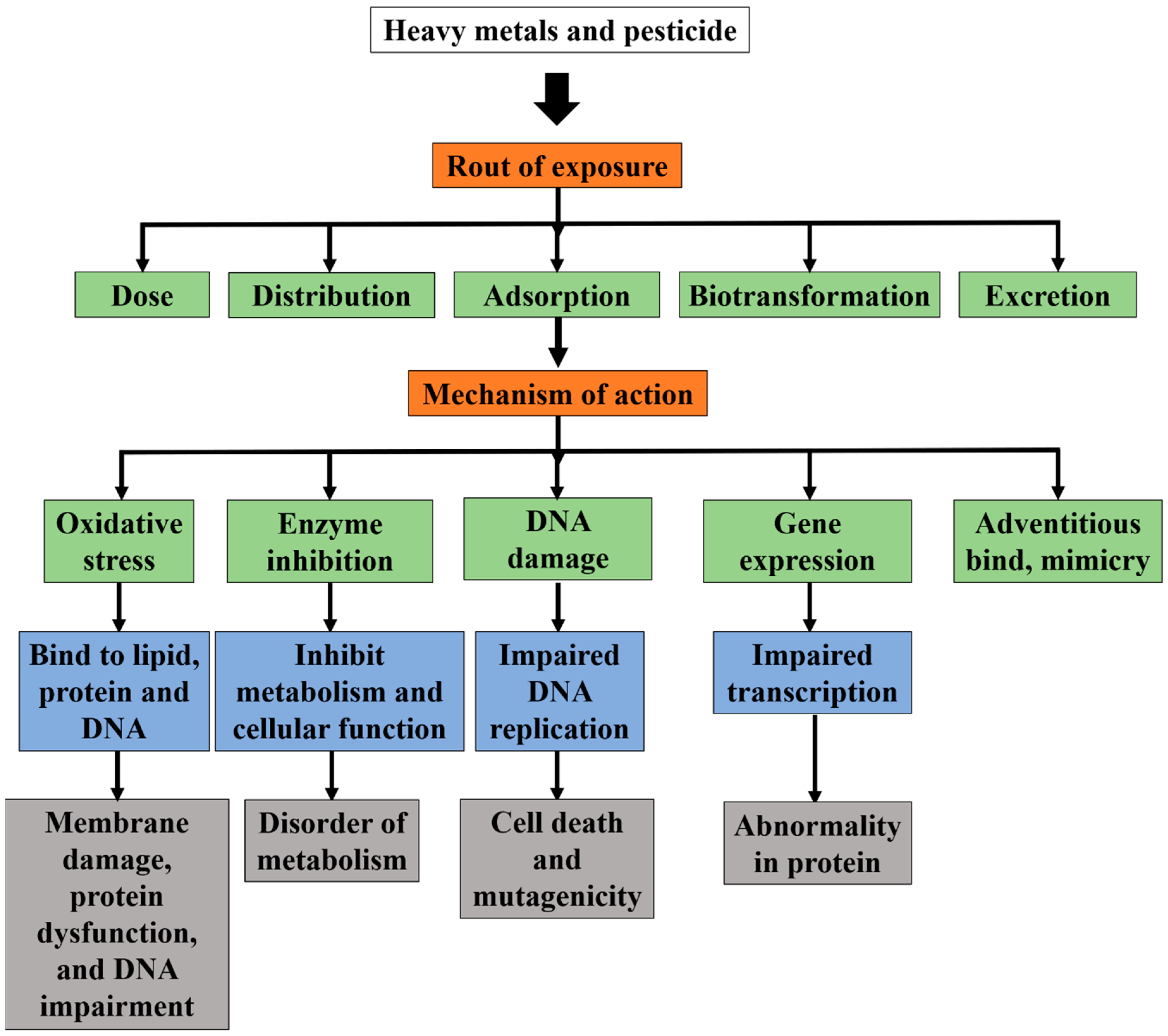 Nanomaterials 09 00625 g001 Nanomaterials 09 00625 g001