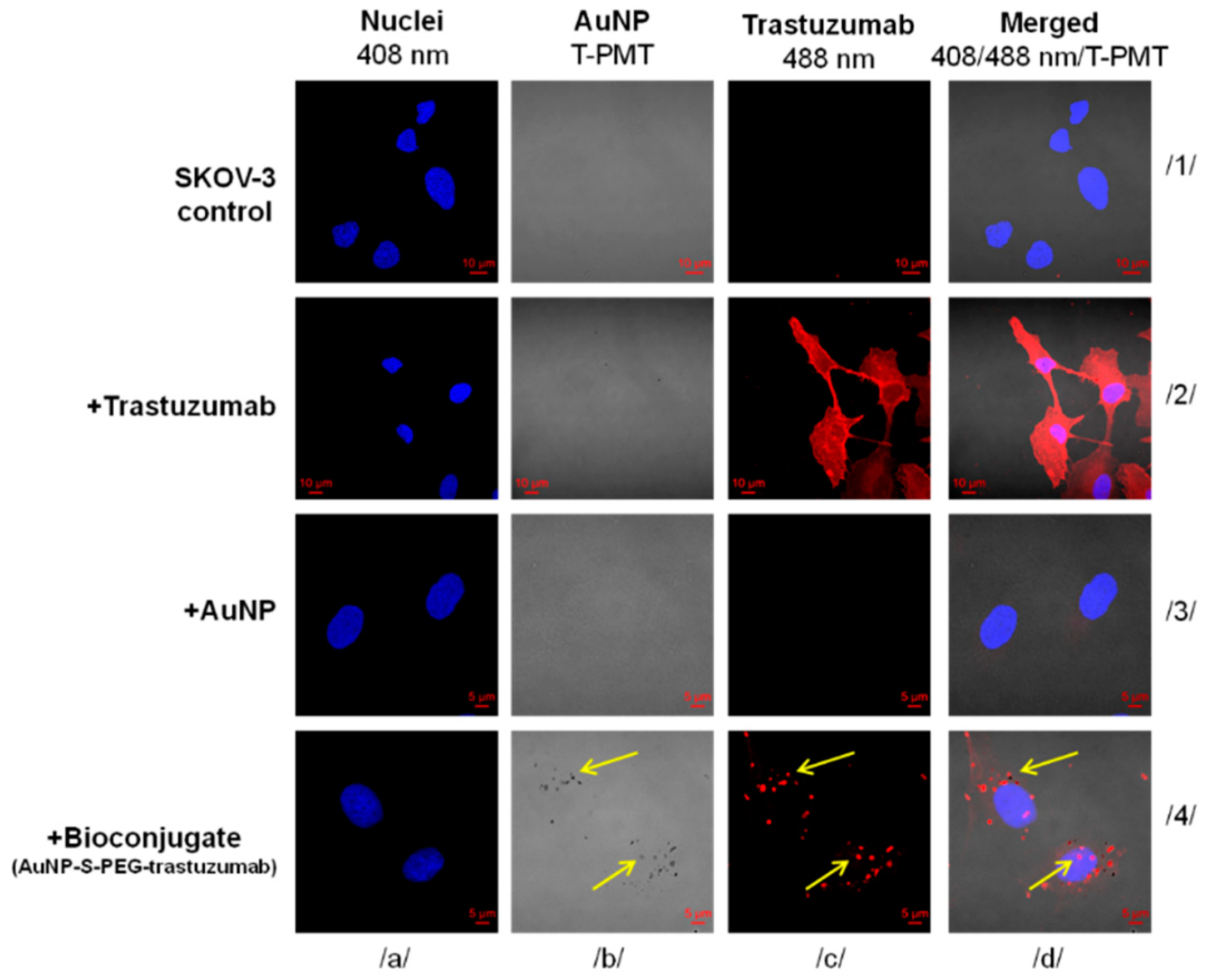 Nanomaterials 09 00632 g004 Nanomaterials 09 00632 g004