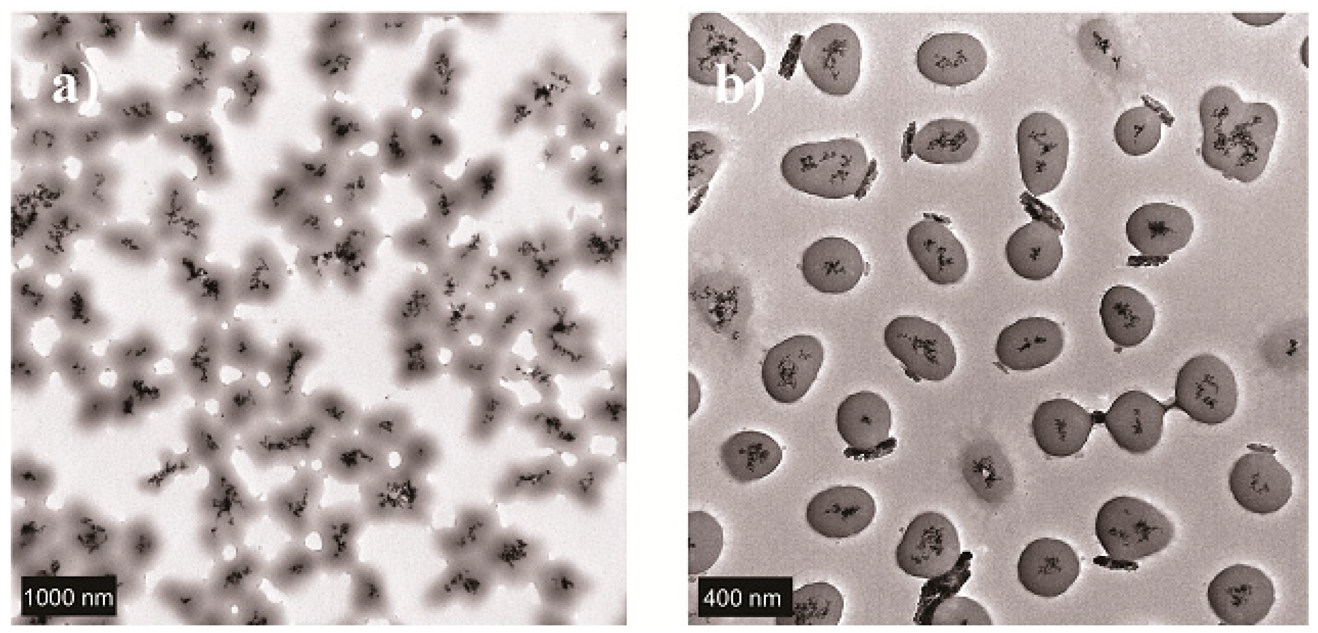 Nanomaterials 09 00638 g001 Nanomaterials 09 00638 g001