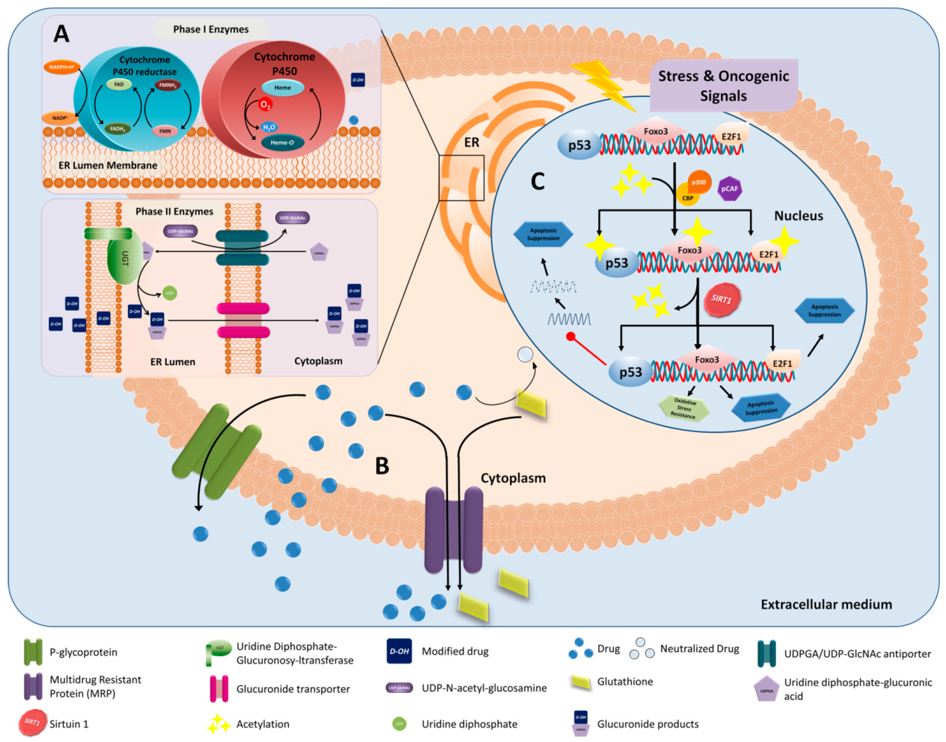 Nanomaterials 09 00638 g004 Nanomaterials 09 00638 g004
