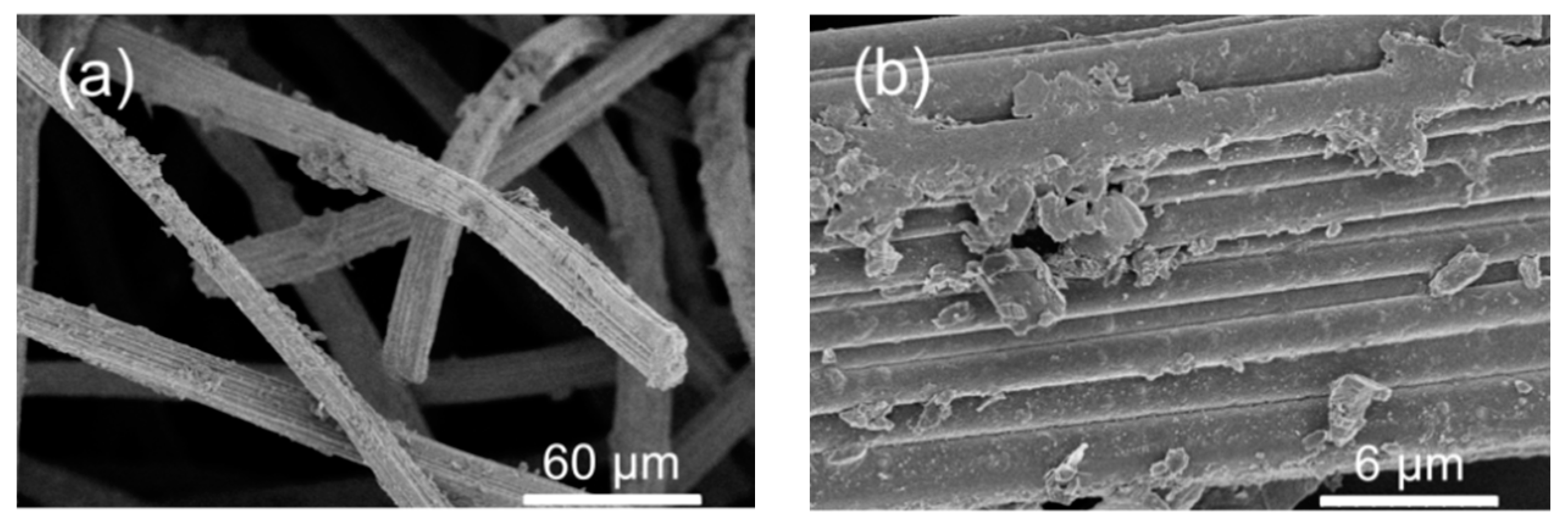 Nanomaterials 09 00641 g005
