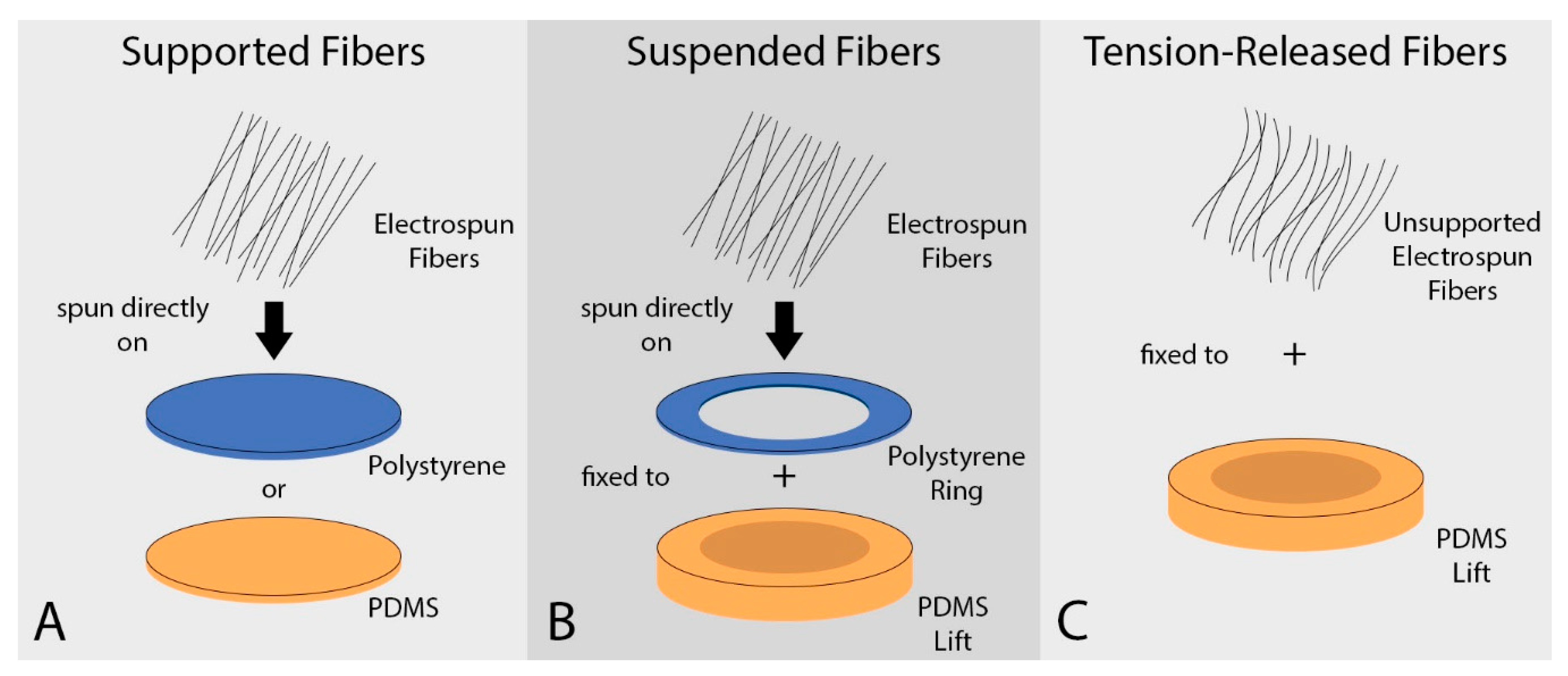 Nanomaterials 09 00644 g001
