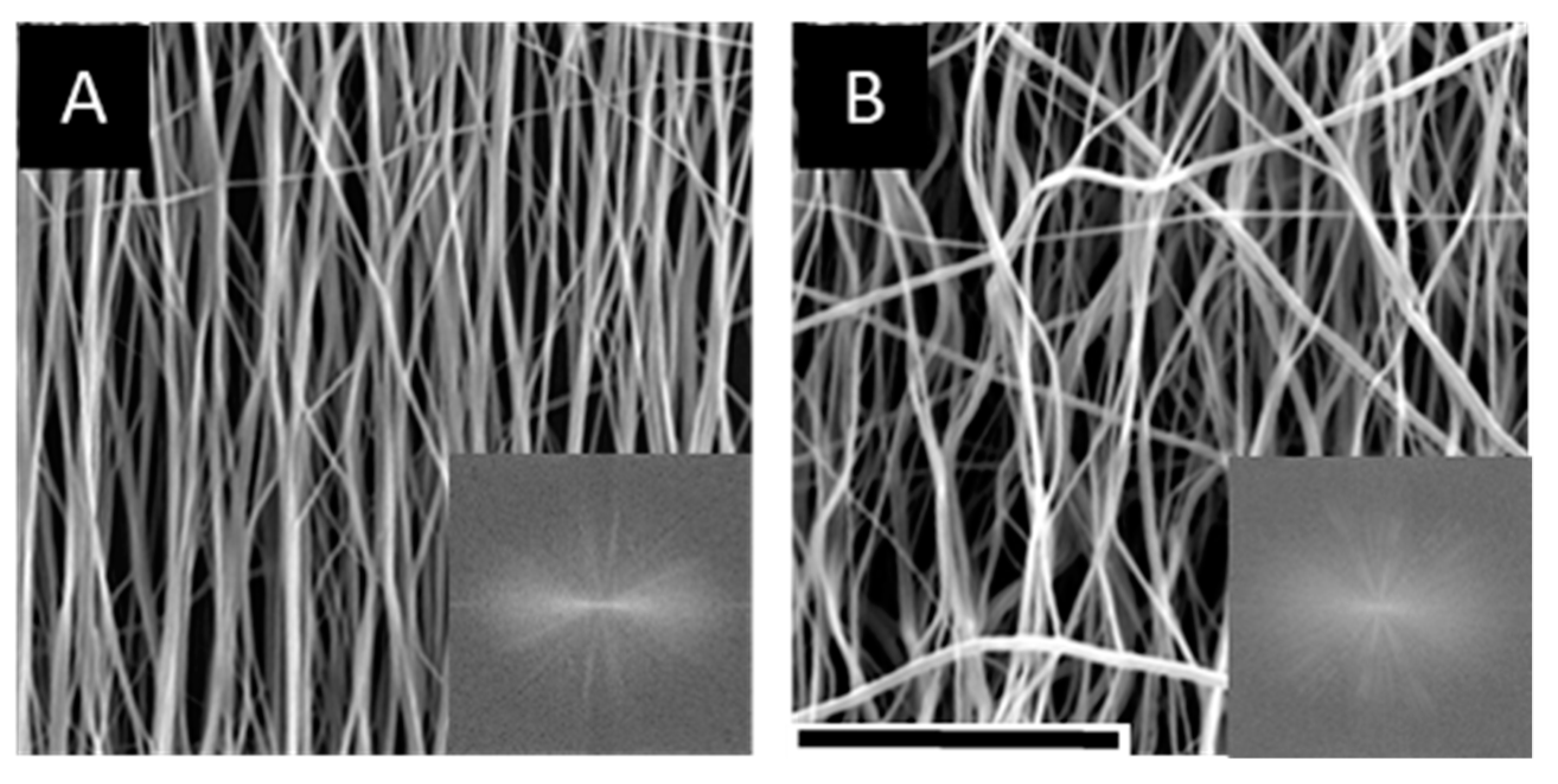Nanomaterials 09 00644 g002