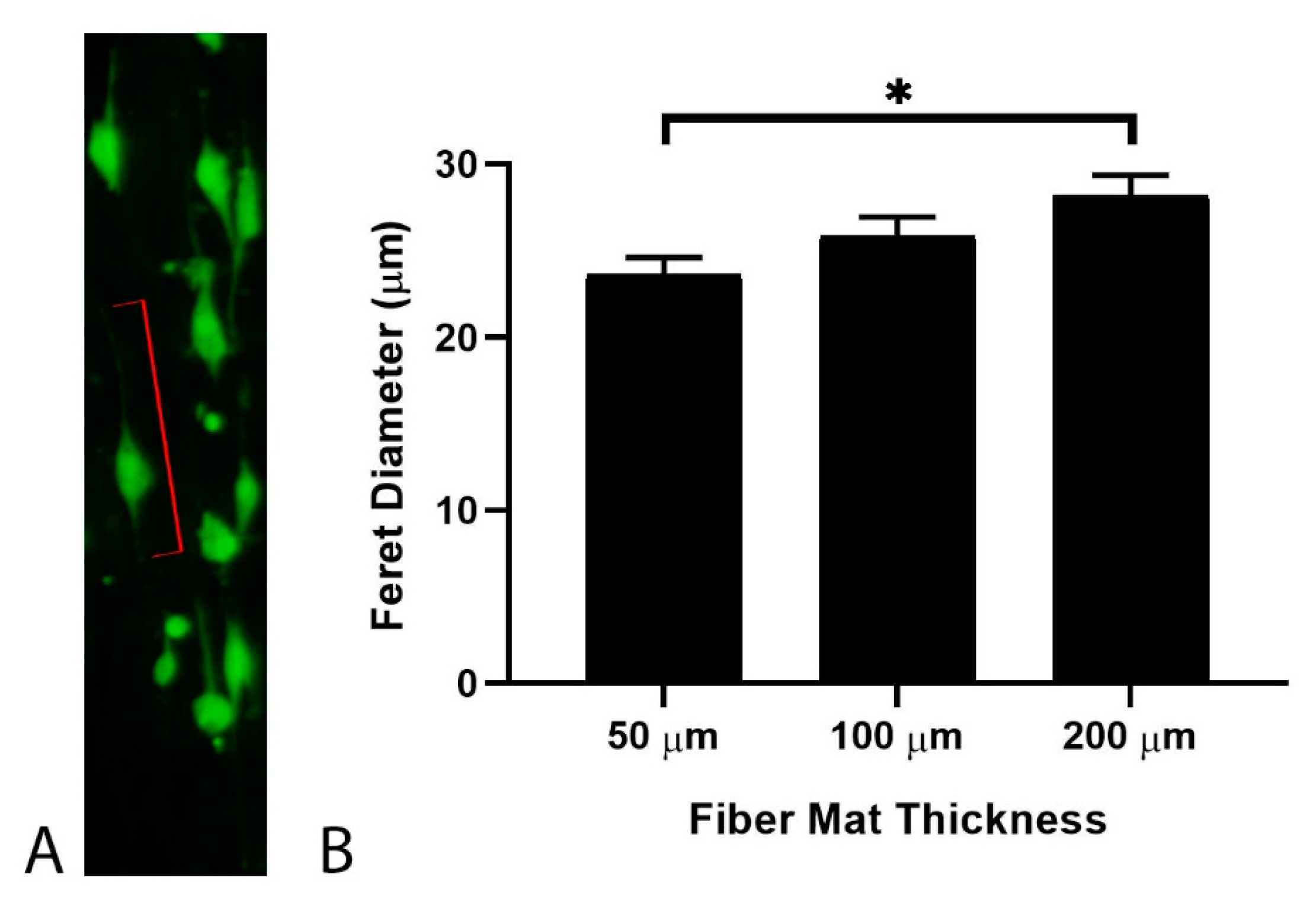 Nanomaterials 09 00644 g003
