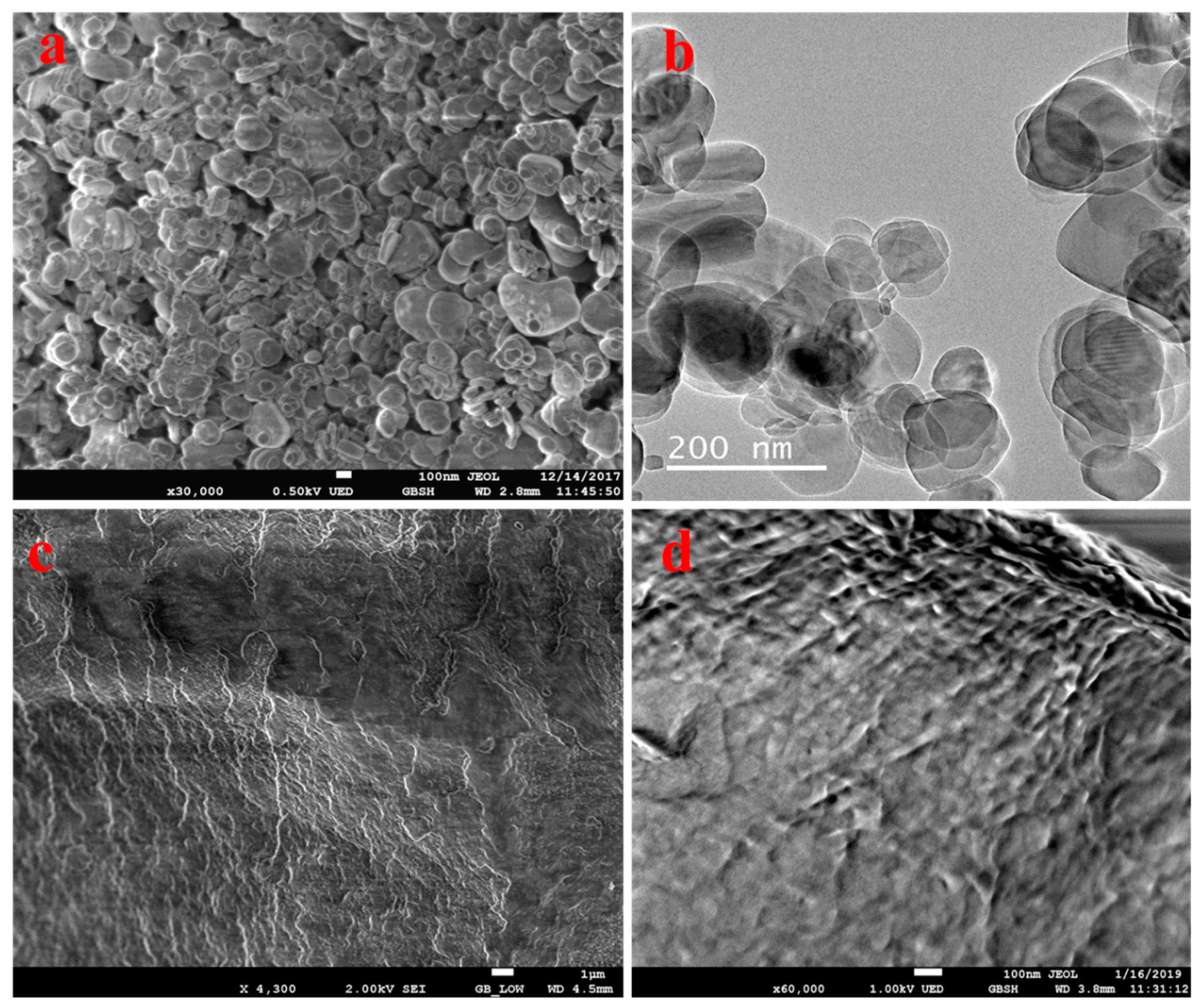 Nanomaterials 09 00645 g003