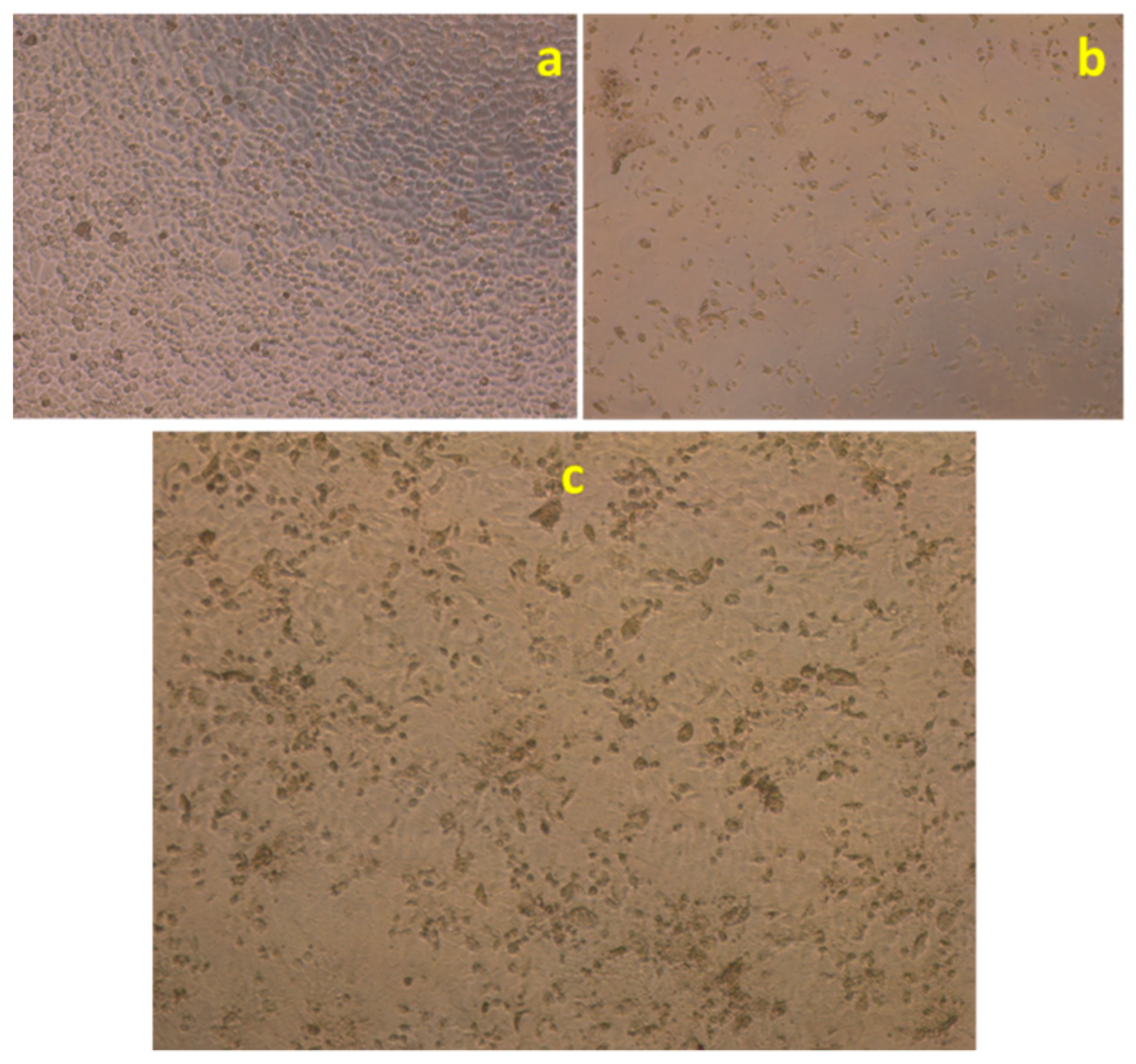 Nanomaterials 09 00645 g008