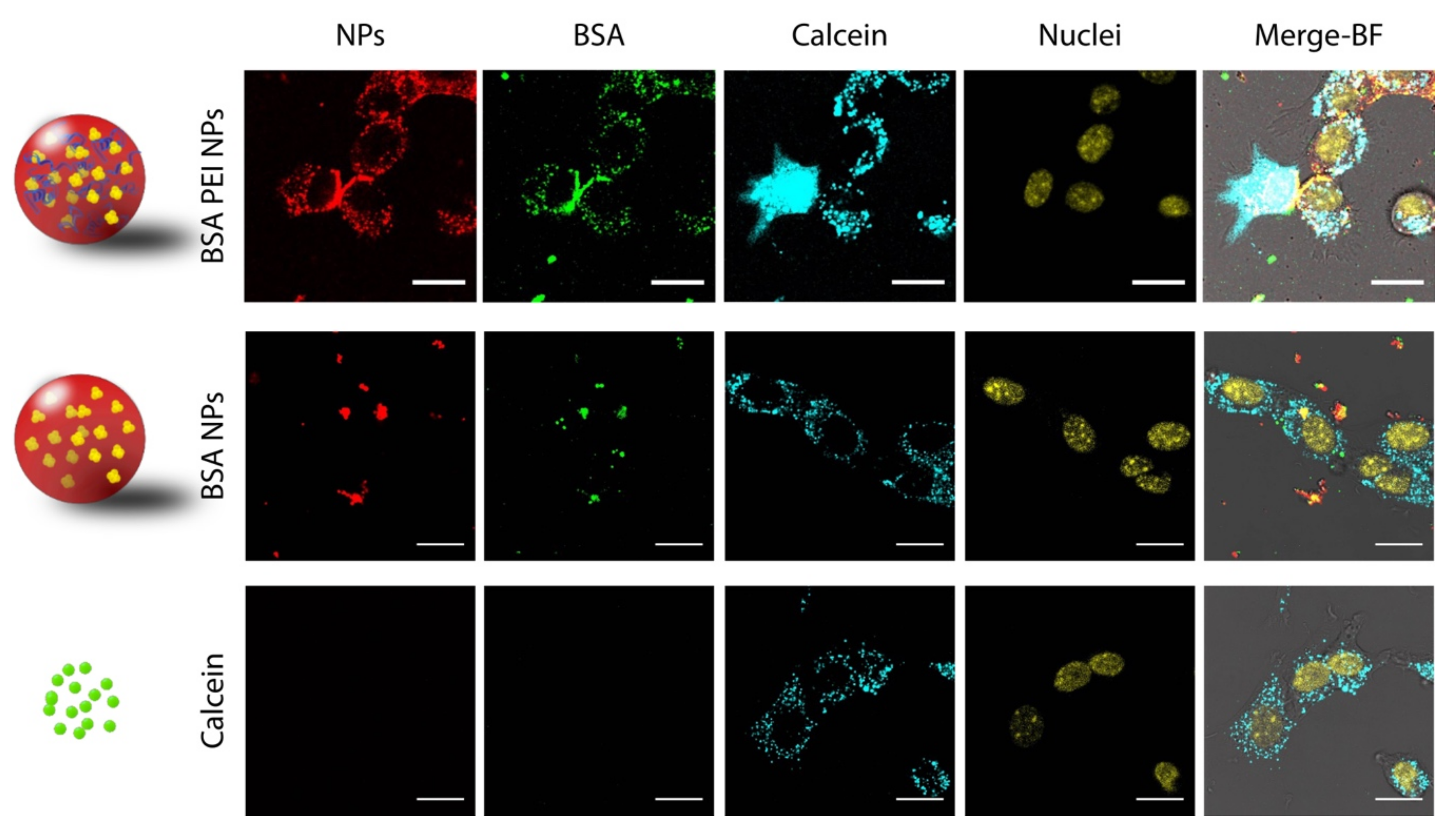 Nanomaterials 09 00652 g002 Nanomaterials 09 00652 g002