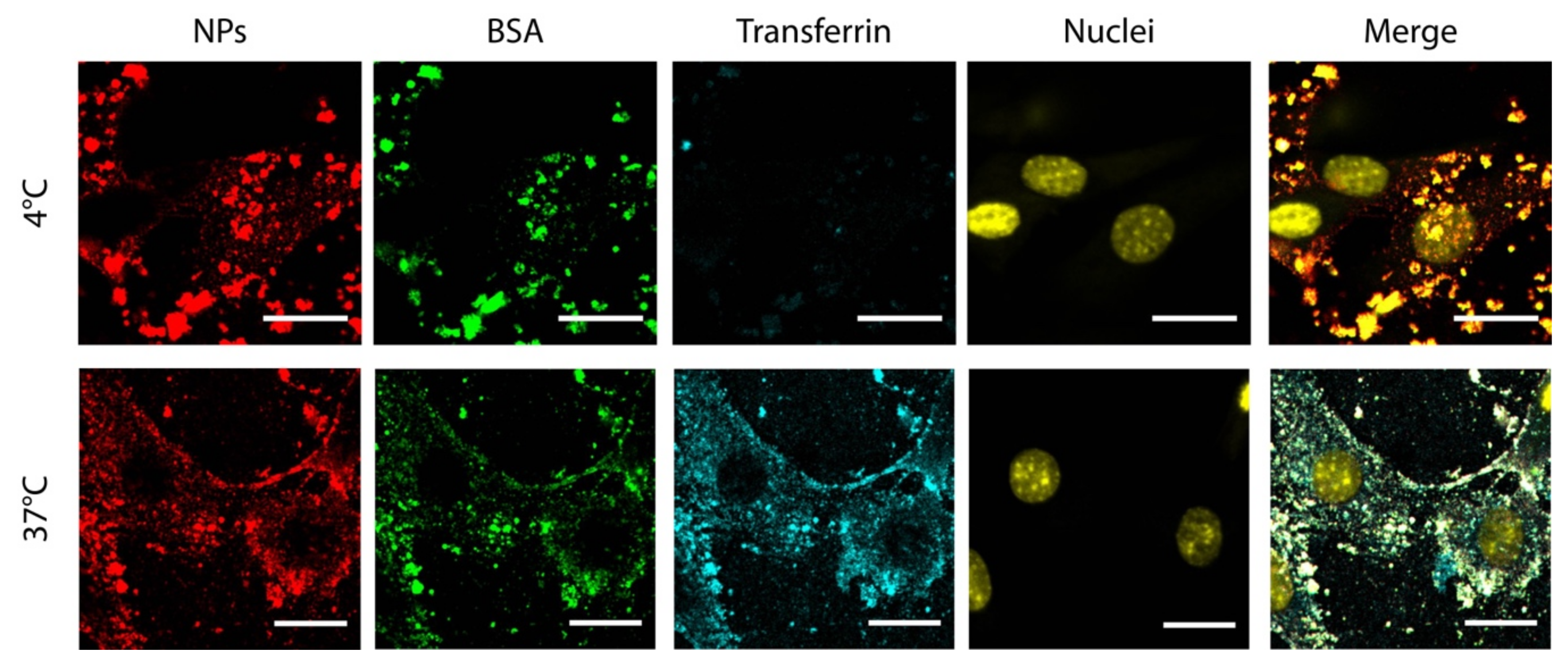 Nanomaterials 09 00652 g003 Nanomaterials 09 00652 g003