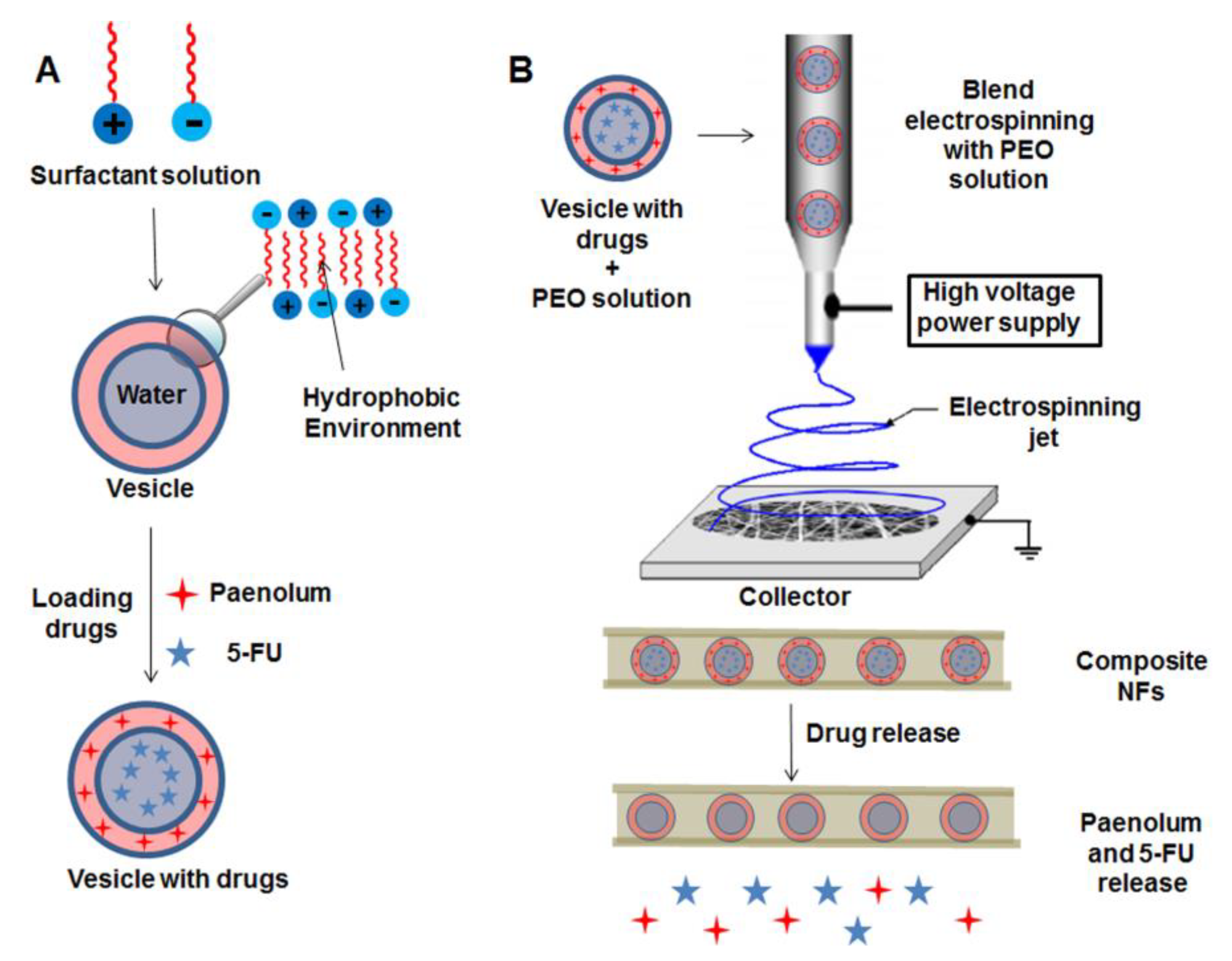 Nanomaterials 09 00656 g002