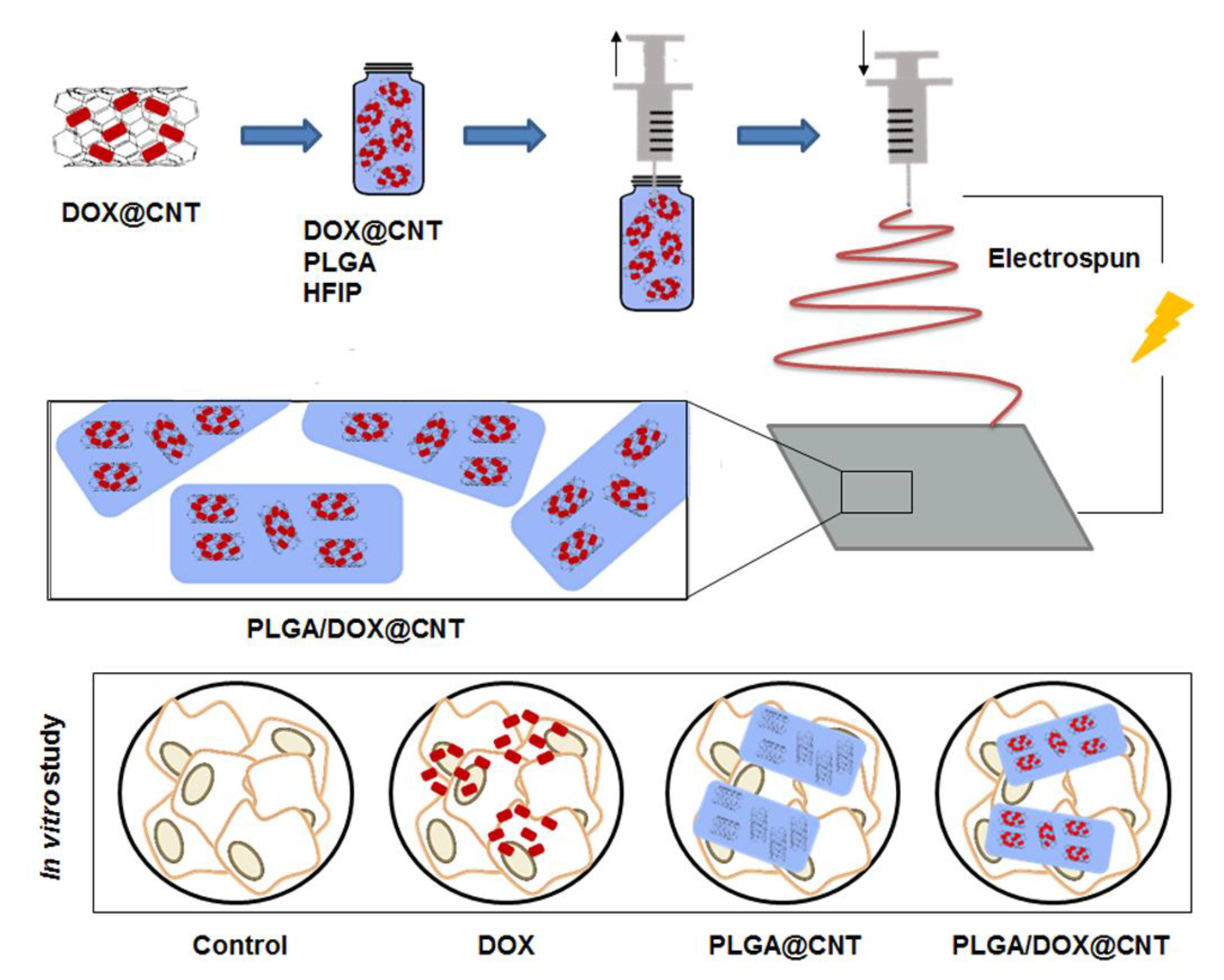 Nanomaterials 09 00656 g005