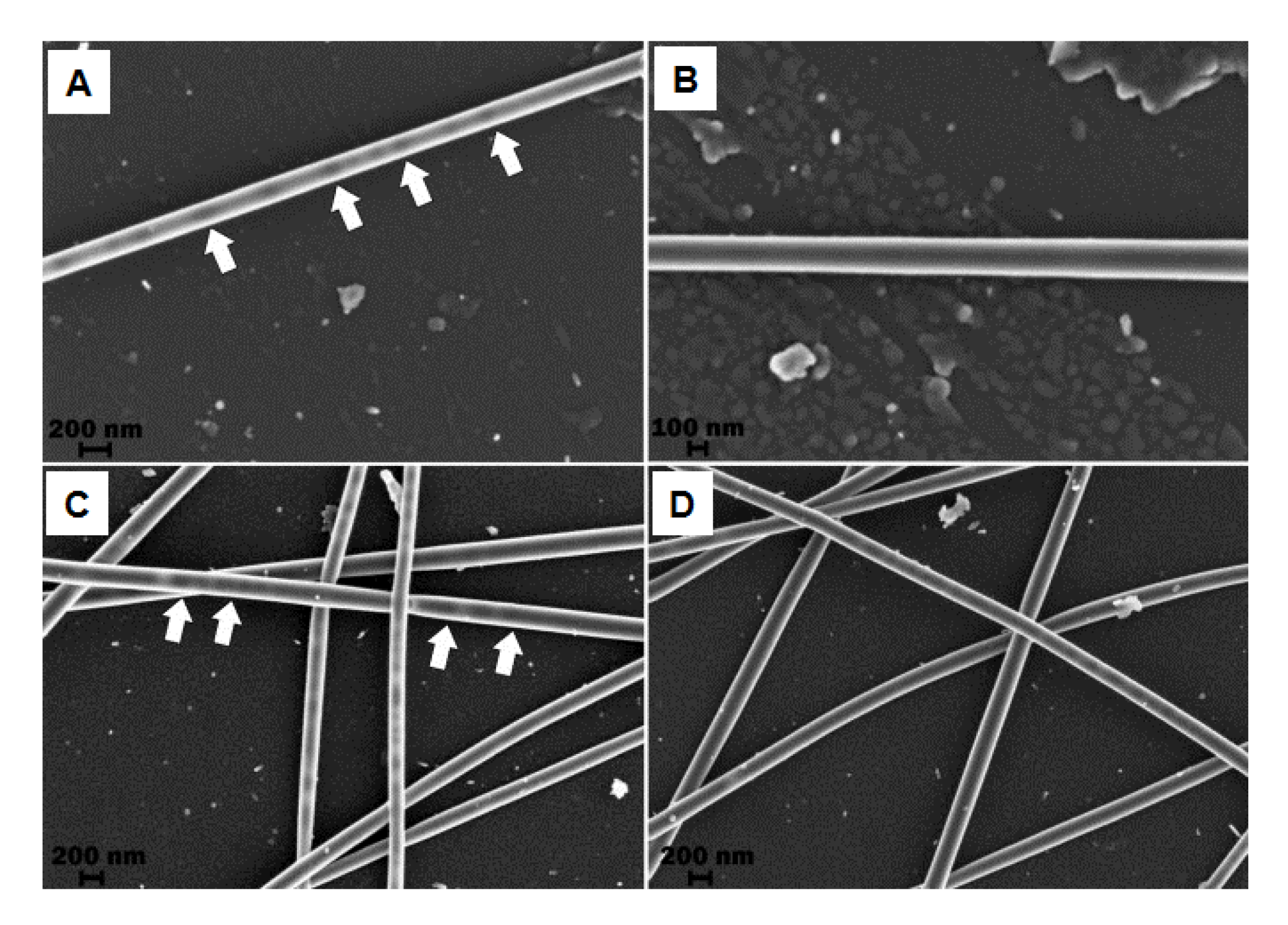 Nanomaterials 09 00656 g006