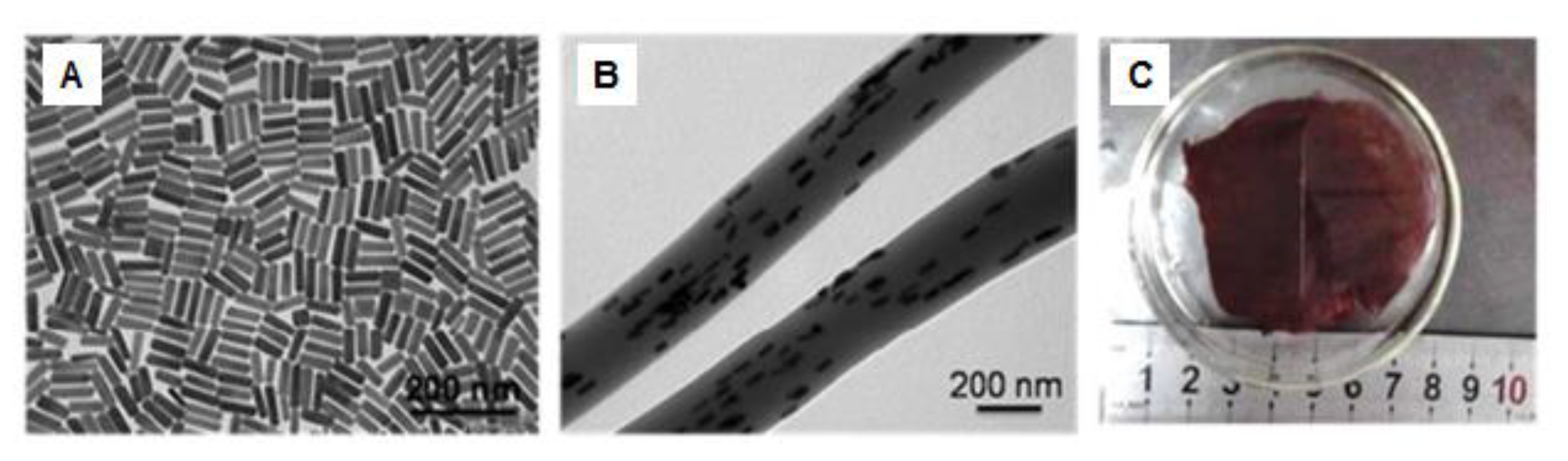 Nanomaterials 09 00656 g008