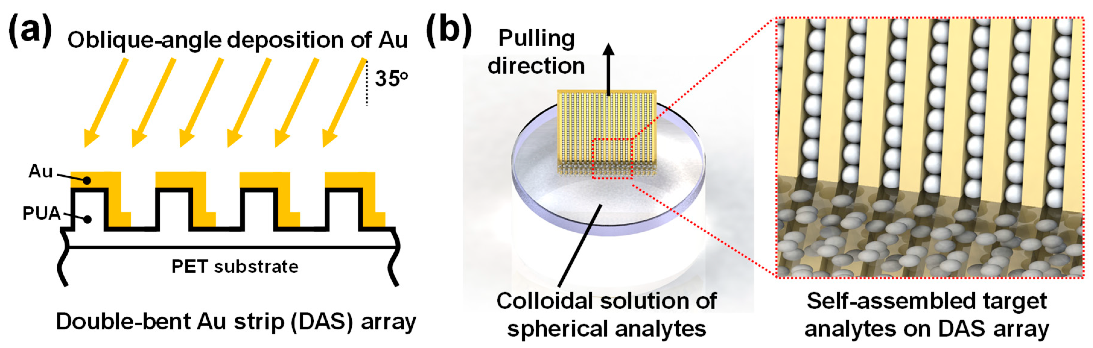 Nanomaterials 09 00660 g001 Nanomaterials 09 00660 g001