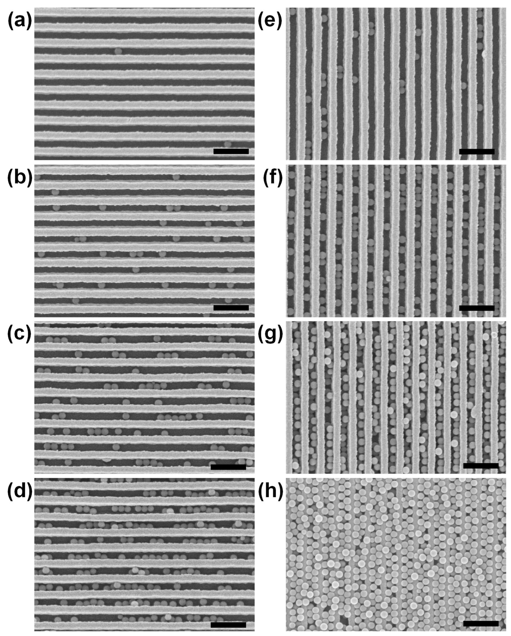 Nanomaterials 09 00660 g002 Nanomaterials 09 00660 g002