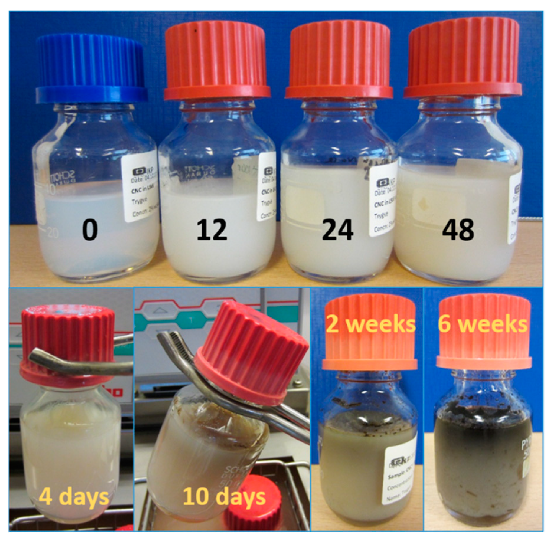 Nanomaterials 09 00665 g004 550