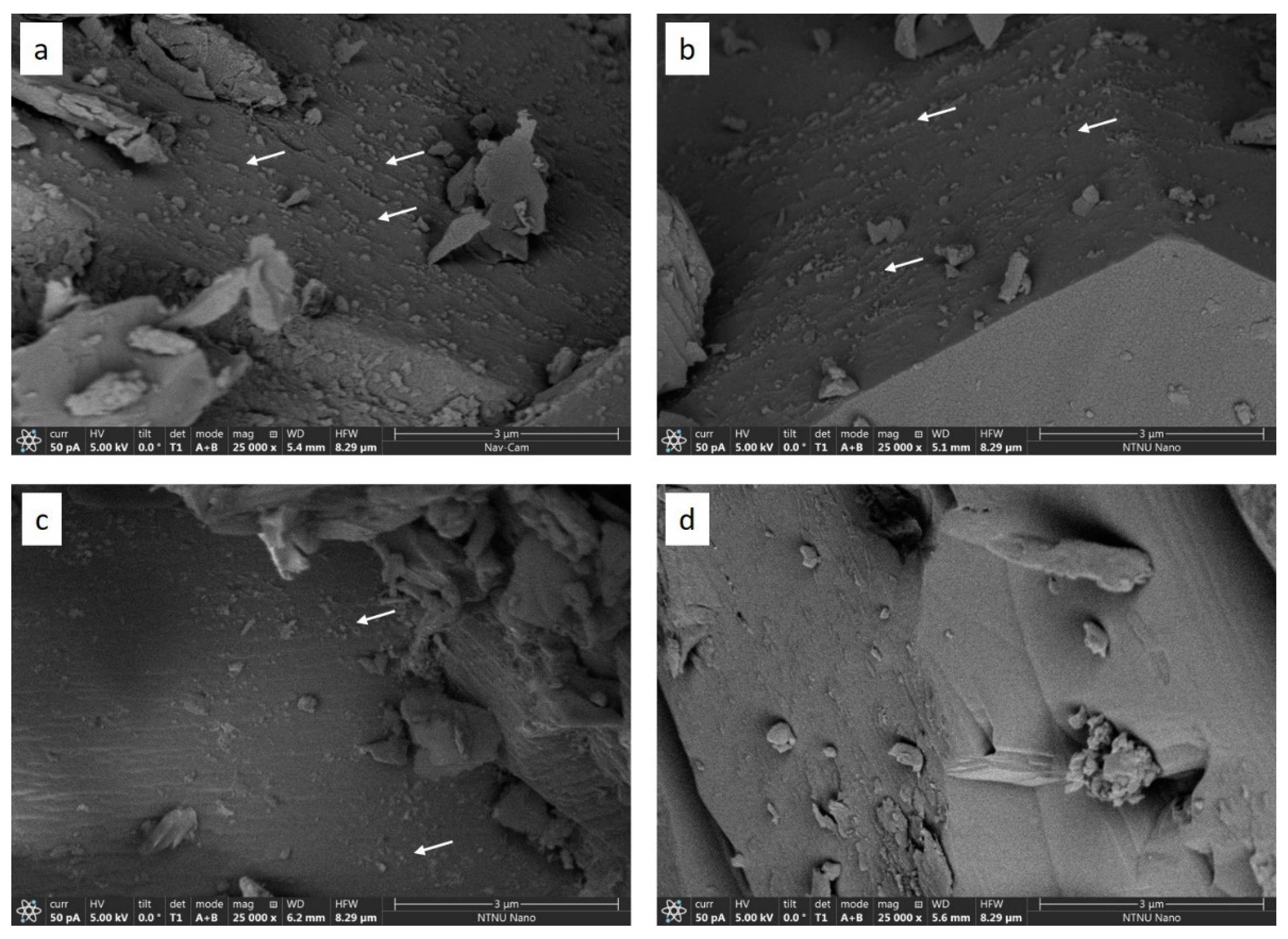 Nanomaterials 09 00665 g009 550