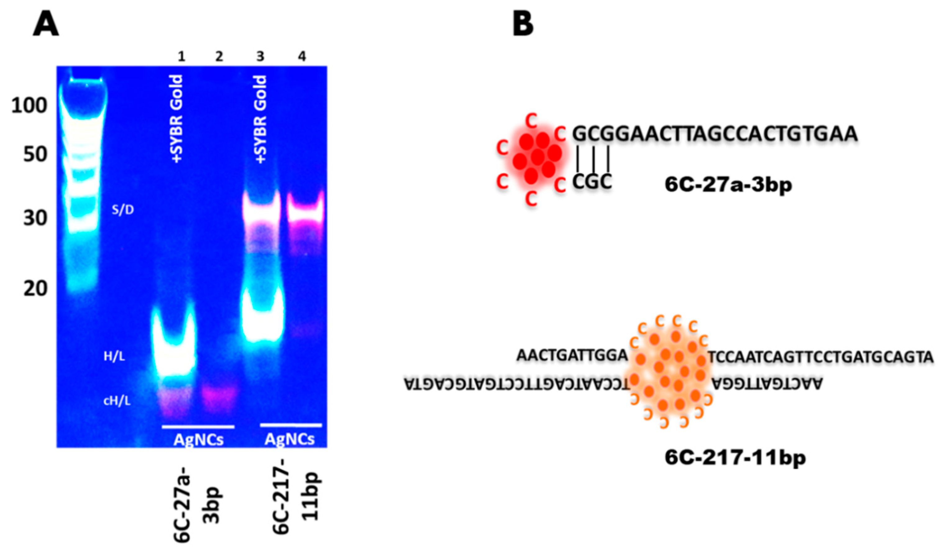 Nanomaterials 09 00667 g002 550