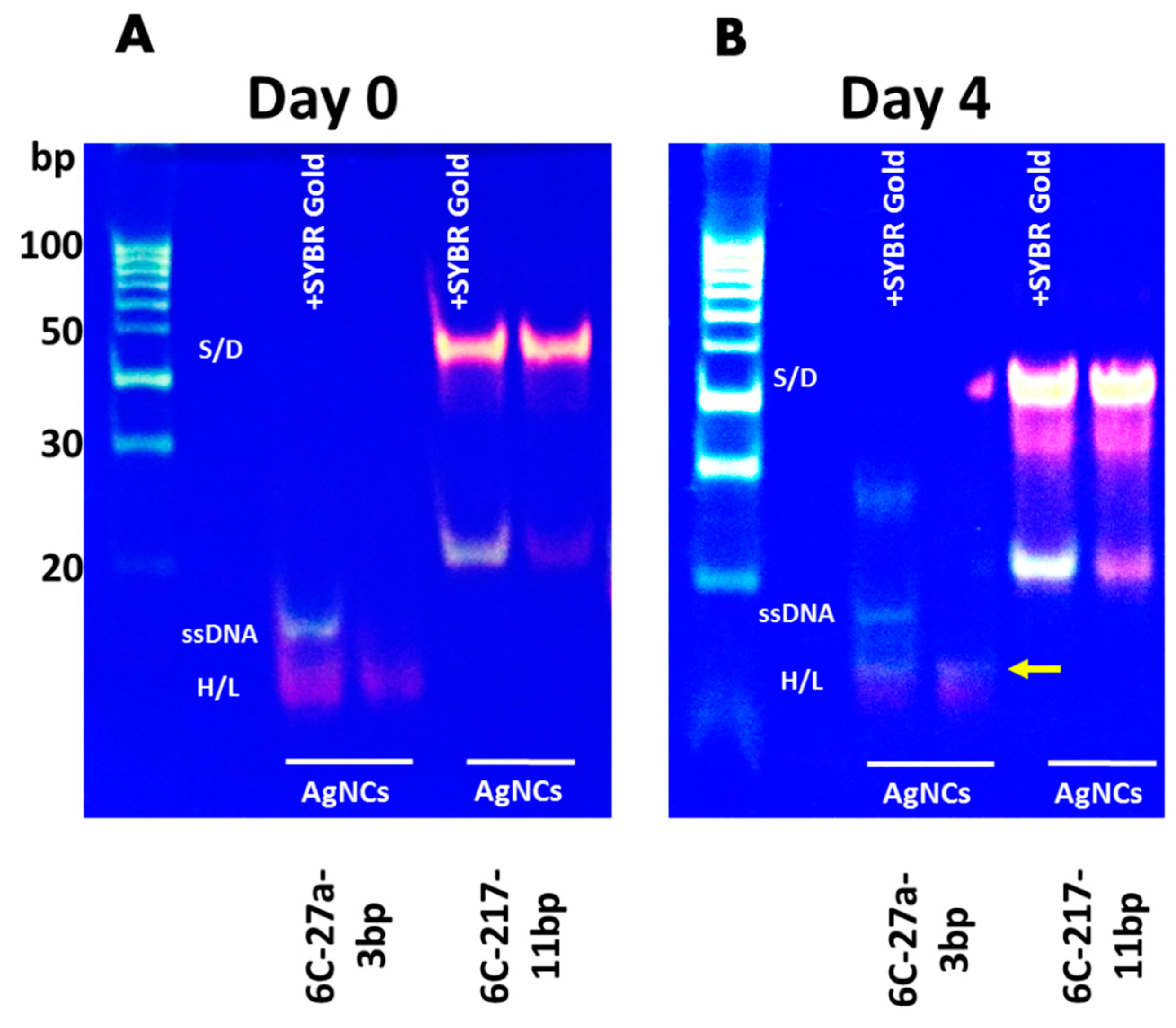 Nanomaterials 09 00667 g005 550
