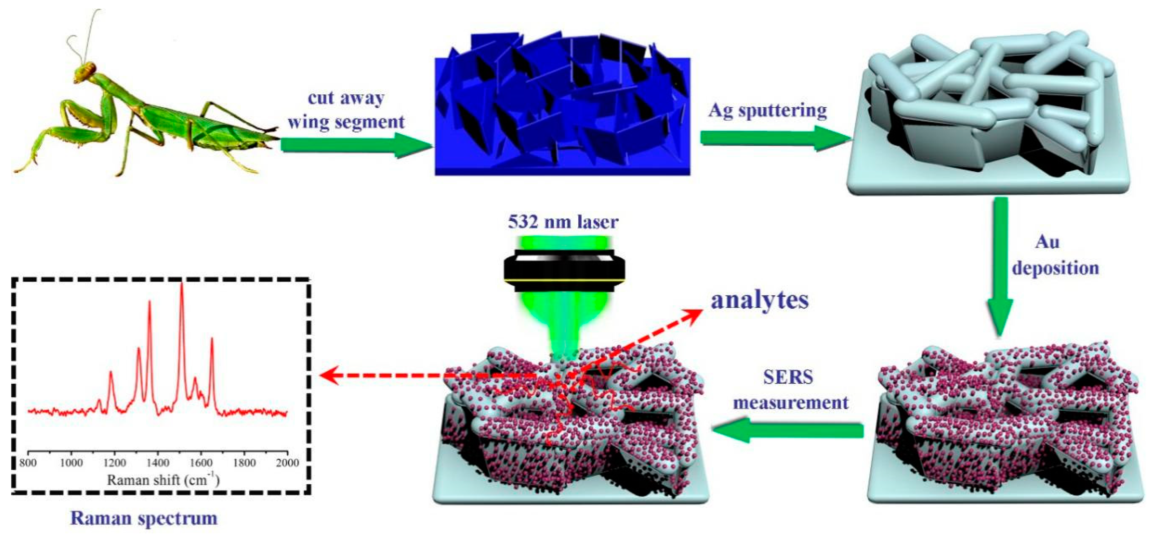 Nanomaterials 09 00672 g001