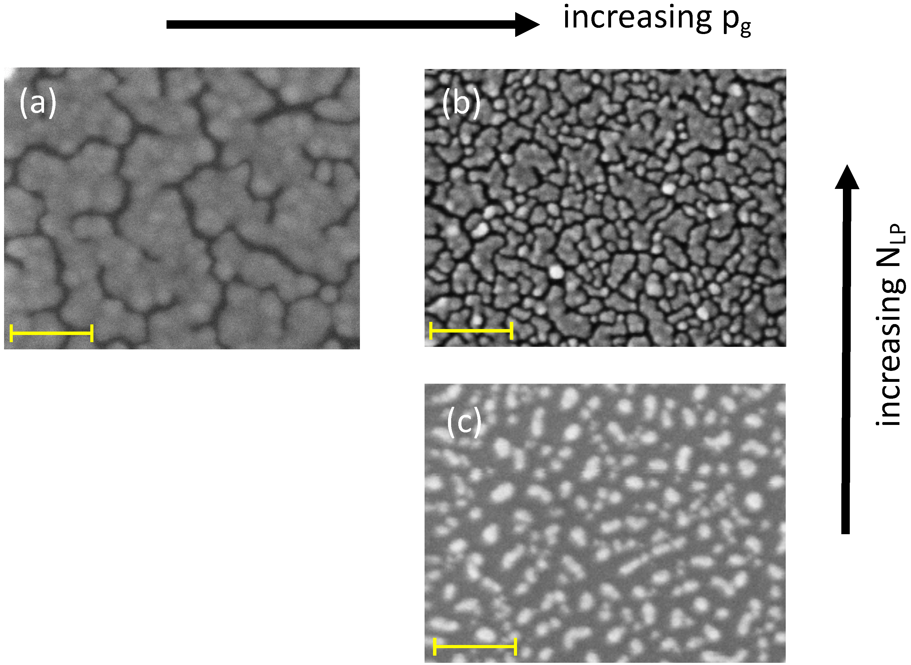Nanomaterials 09 00677 g001