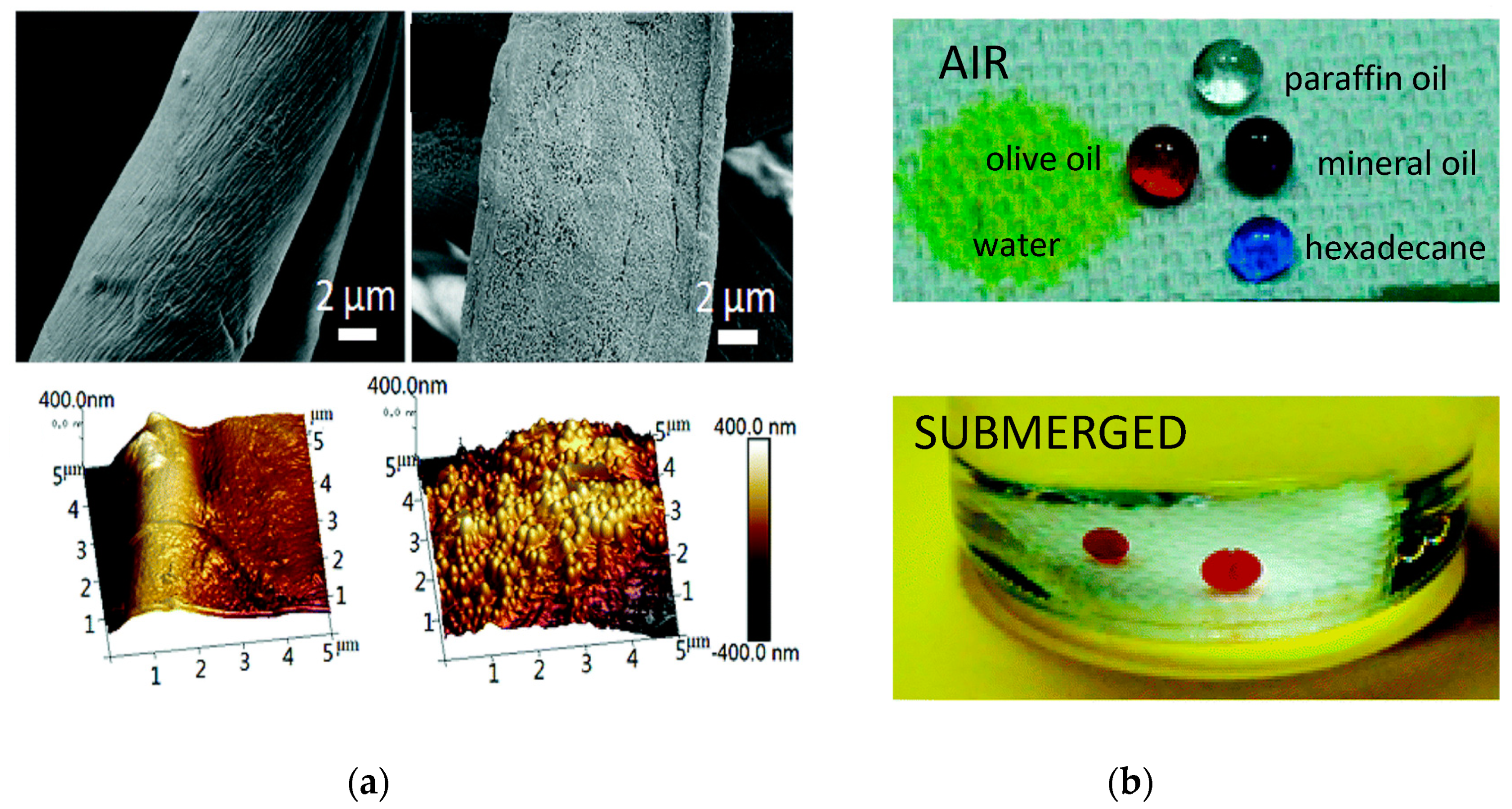 Nanomaterials 09 00684 g005 Nanomaterials 09 00684 g005