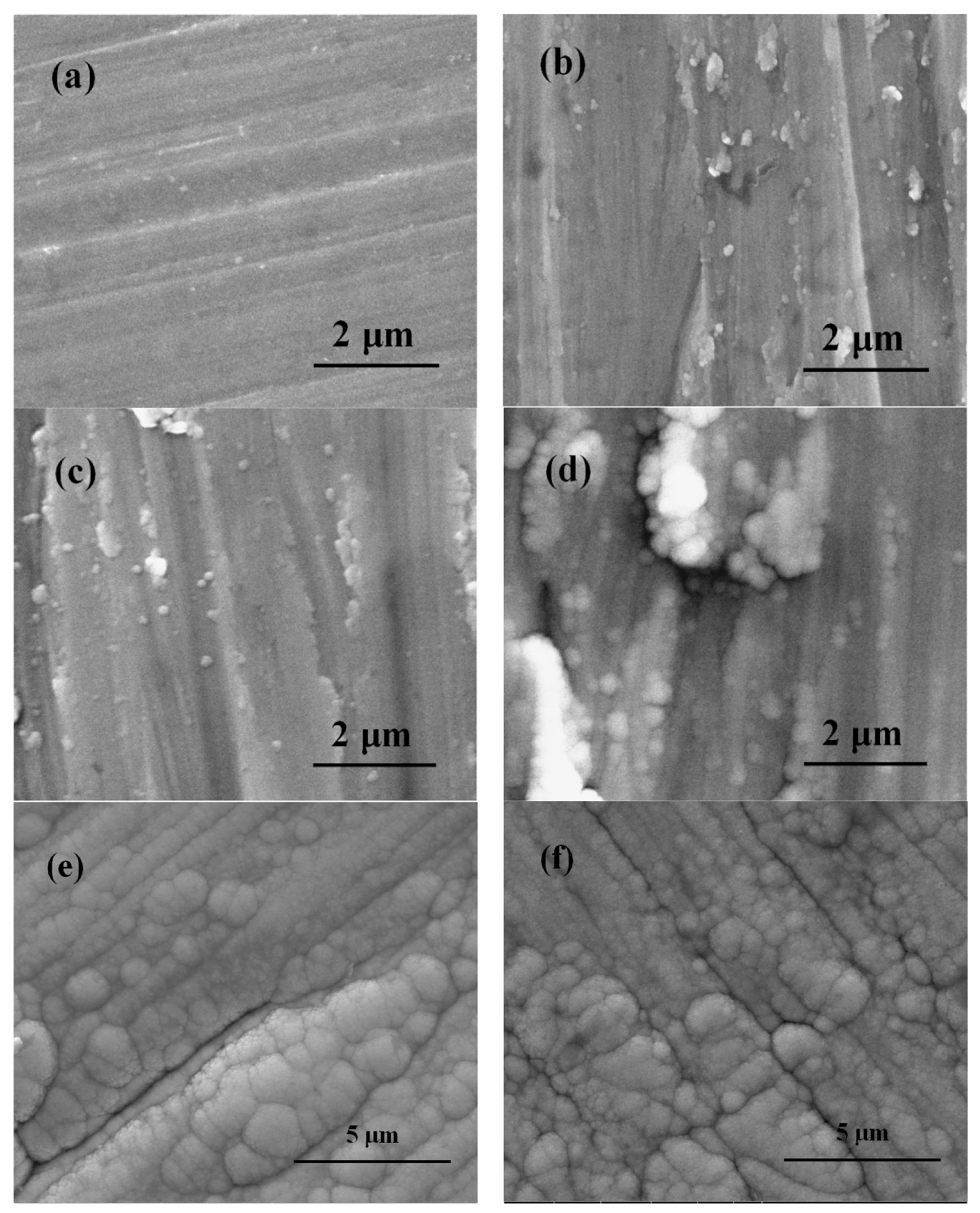 Nanomaterials 09 00685 g002