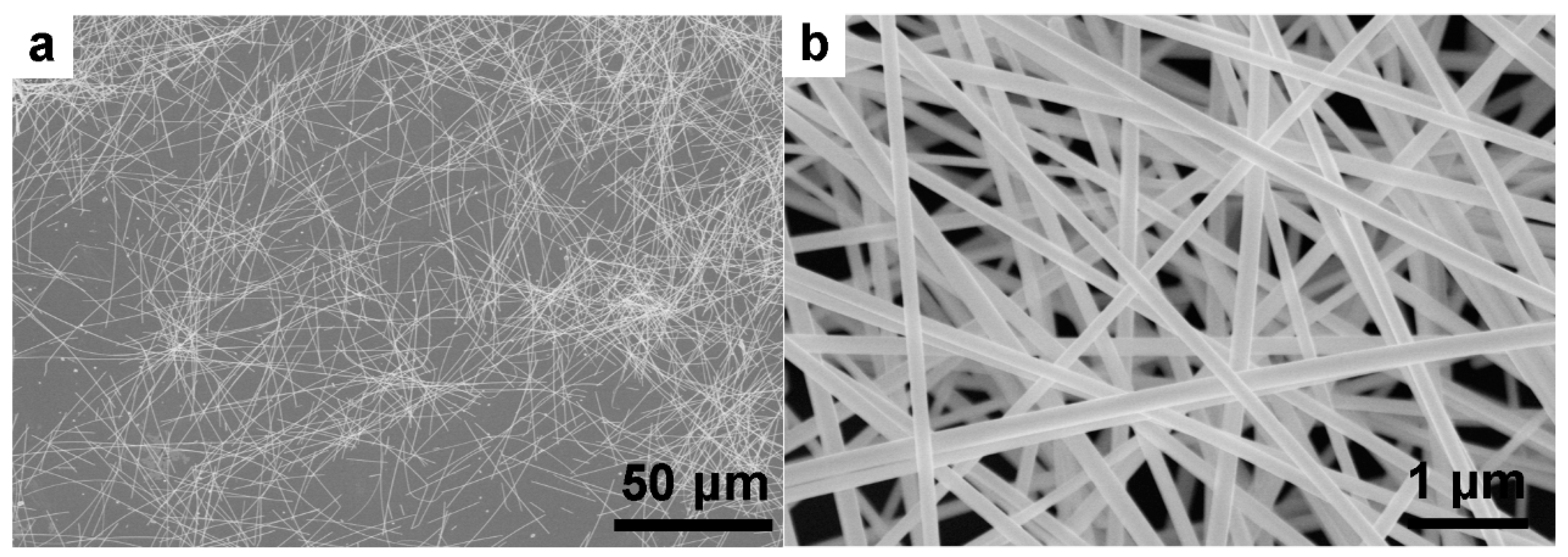 Nanomaterials 09 00686 g001