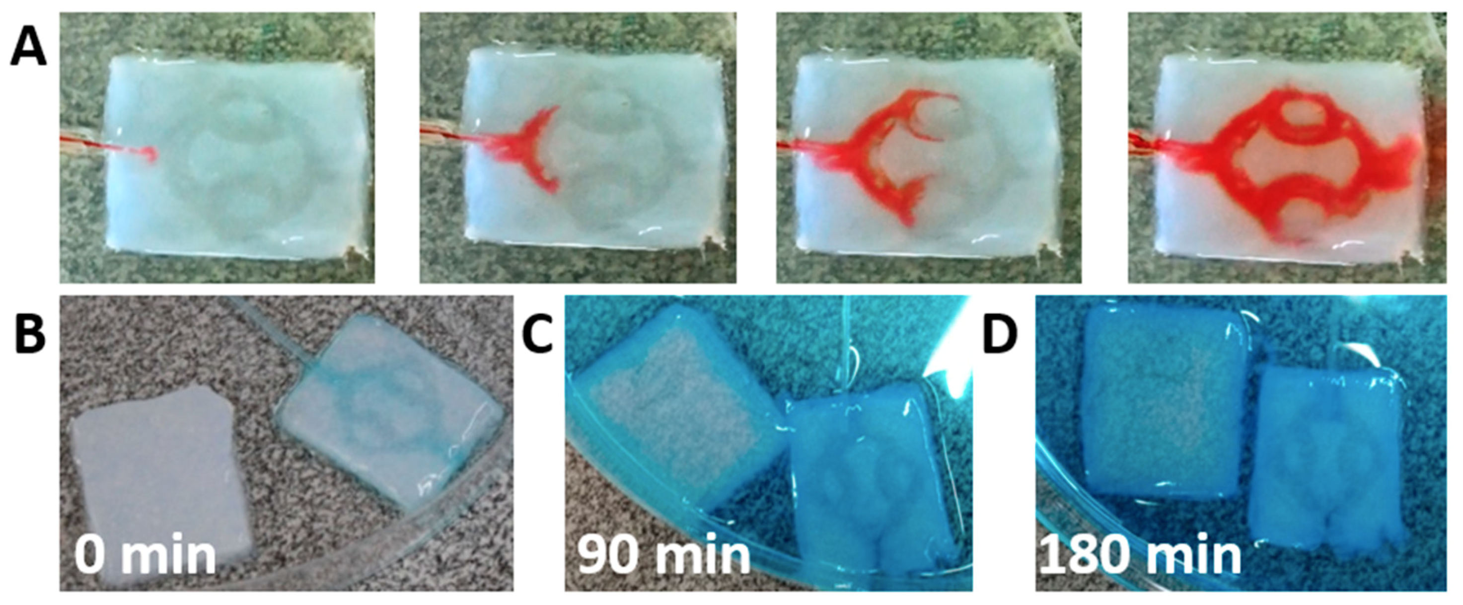 Nanomaterials 09 00689 g005 550