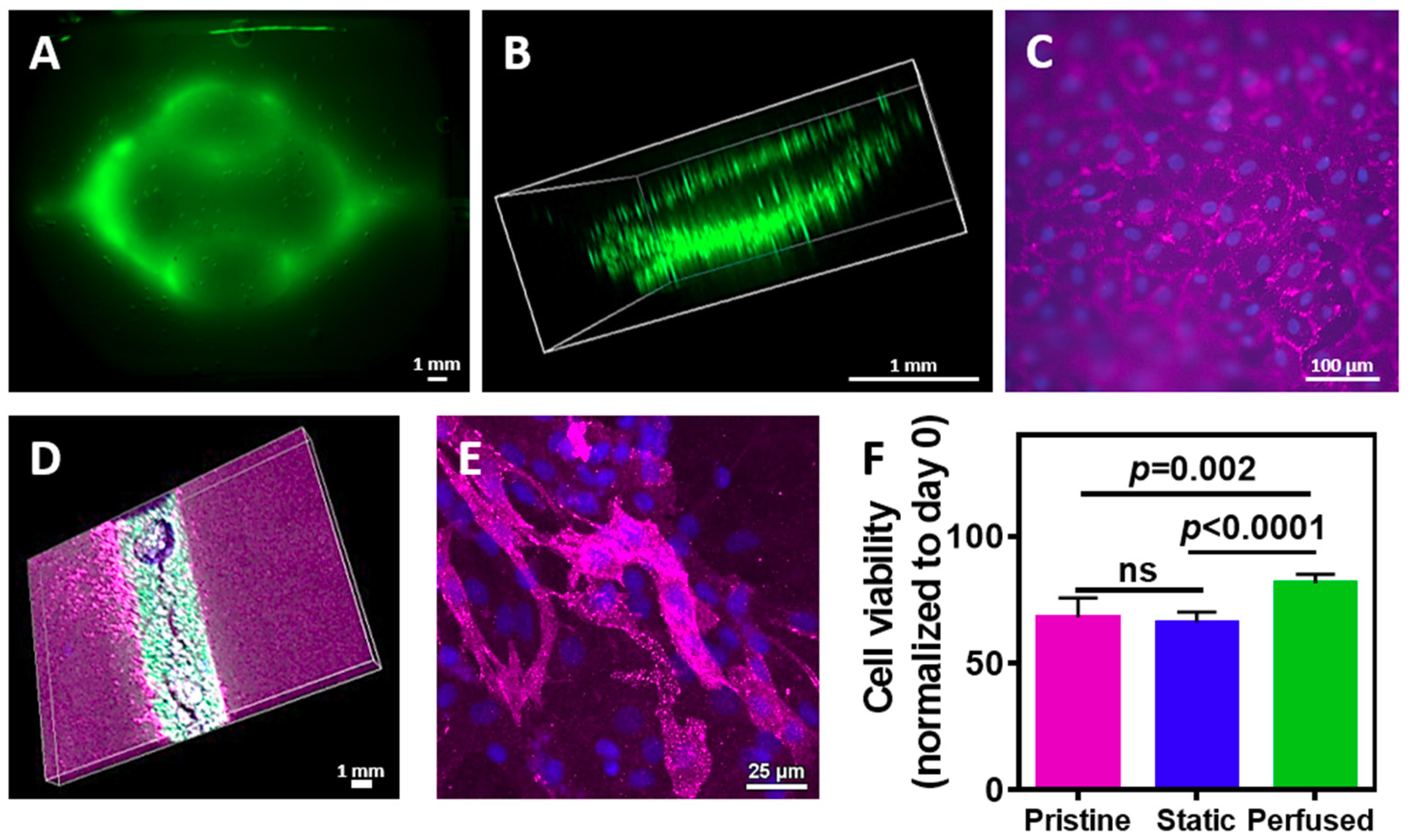 Nanomaterials 09 00689 g006 550