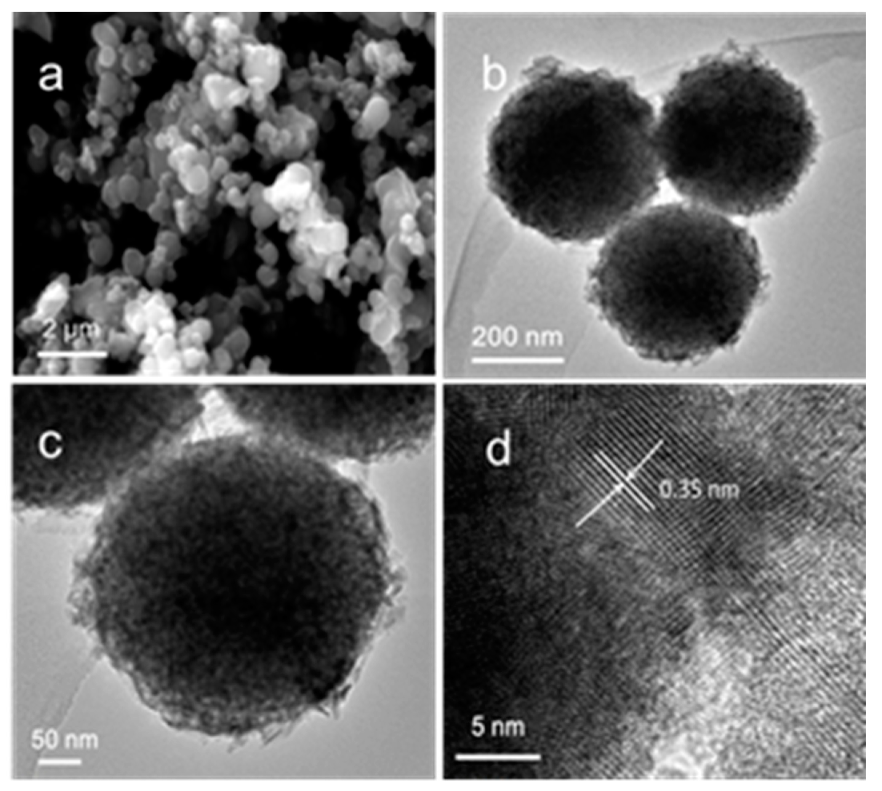 Nanomaterials 09 00698 g003