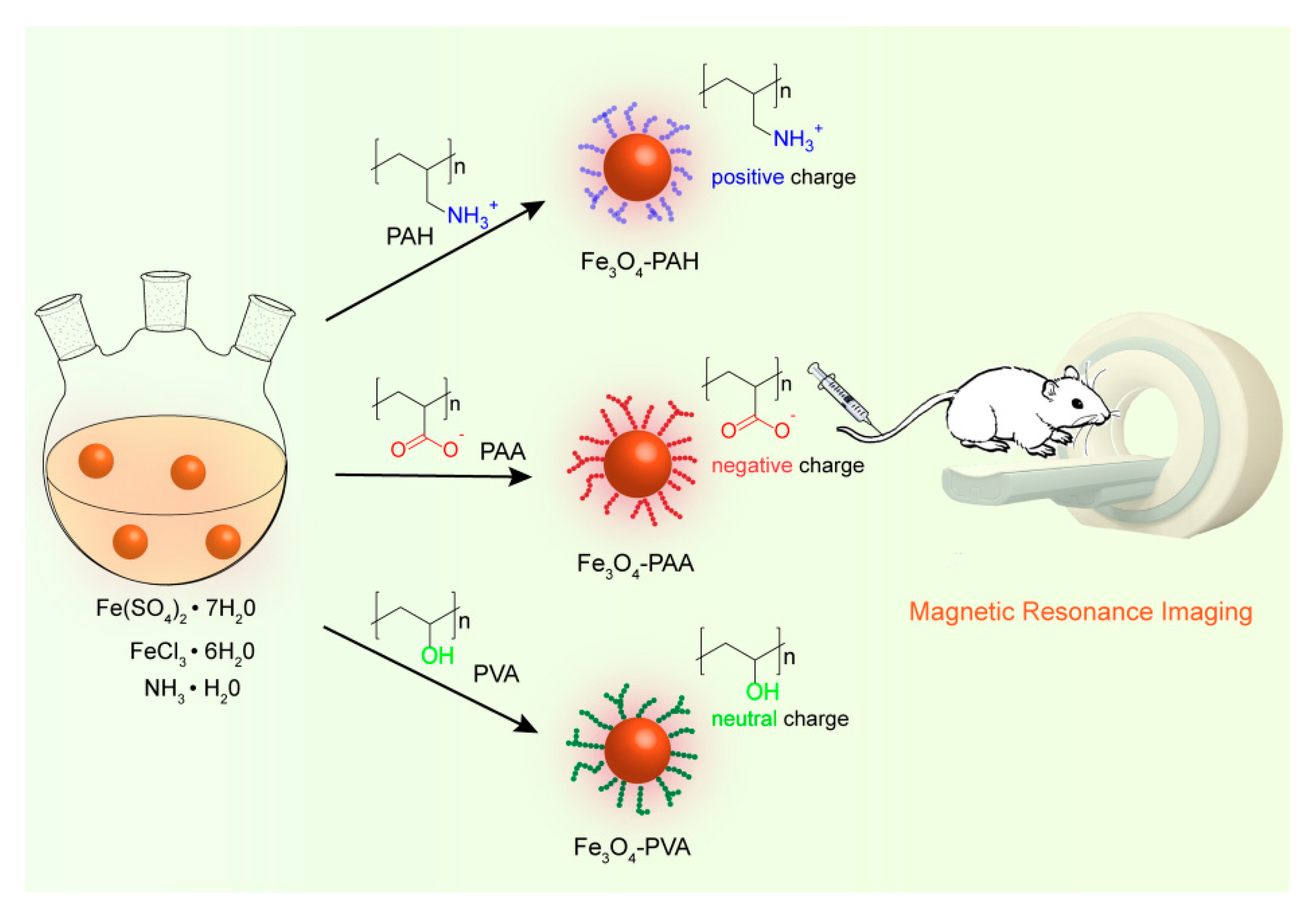 Nanomaterials 09 00699 sch001 Nanomaterials 09 00699 sch001