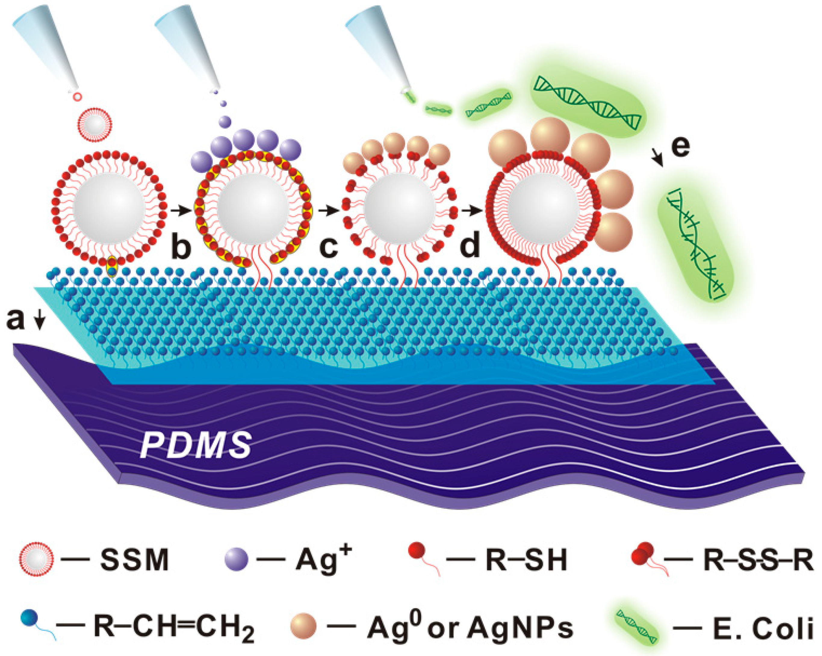 Nanomaterials 09 00705 g001 Nanomaterials 09 00705 g001