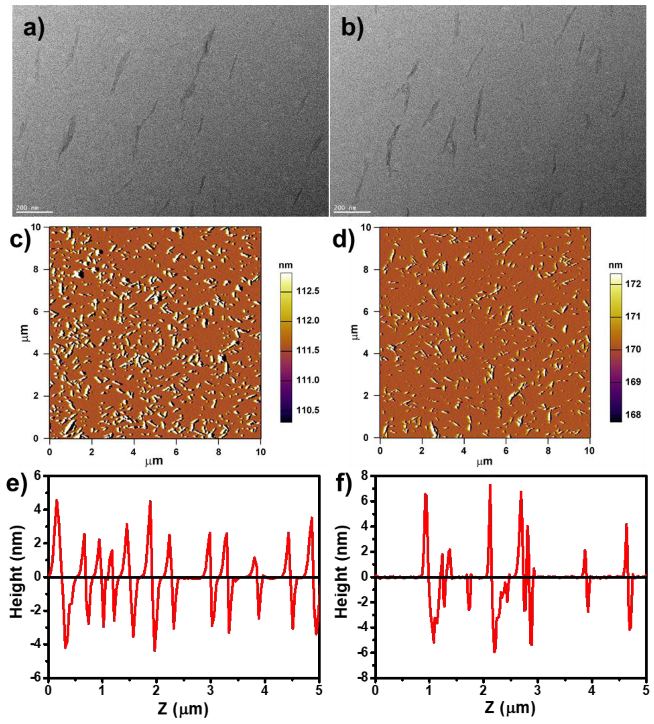Nanomaterials 09 00707 g002 550