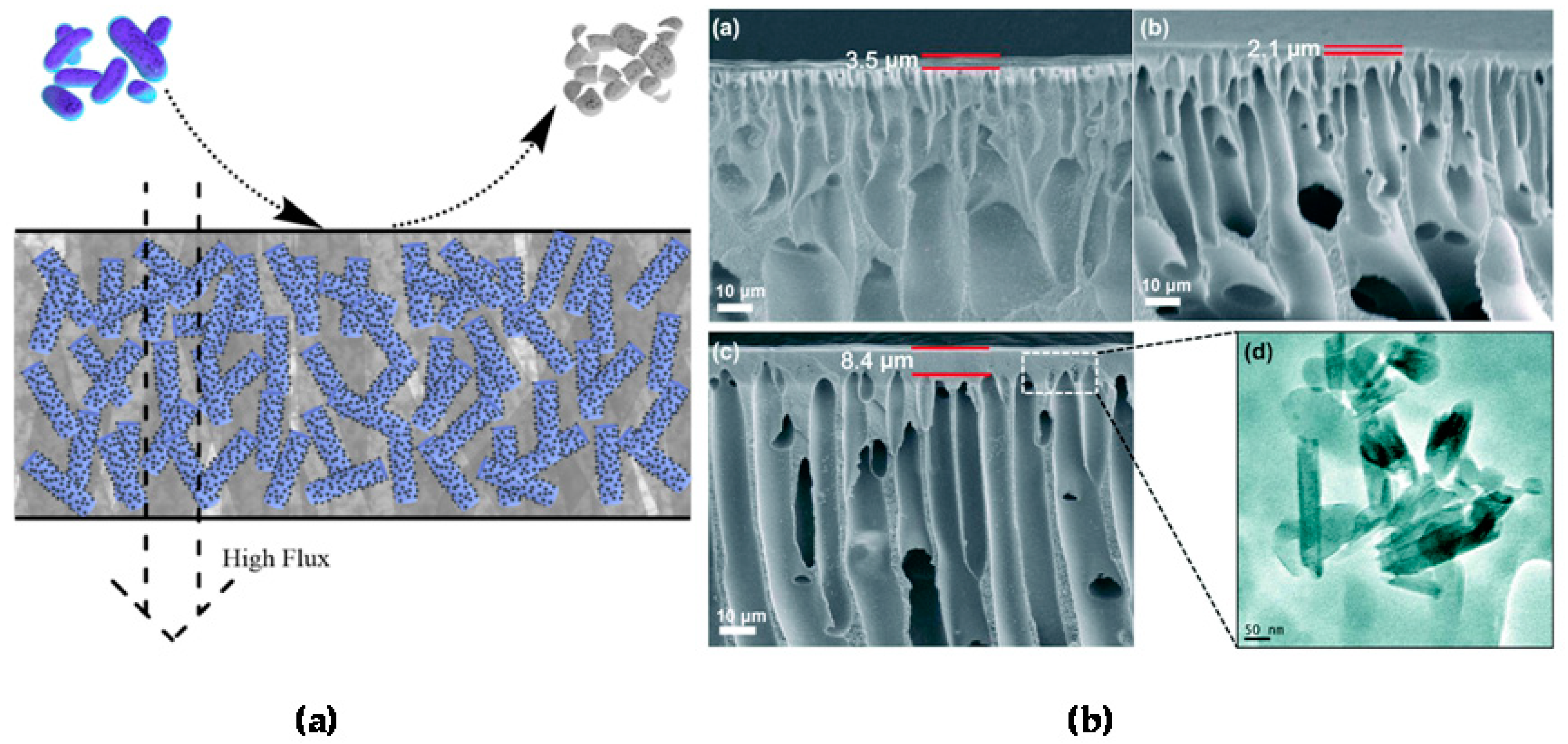 Nanomaterials 09 00708 g009 Nanomaterials 09 00708 g009