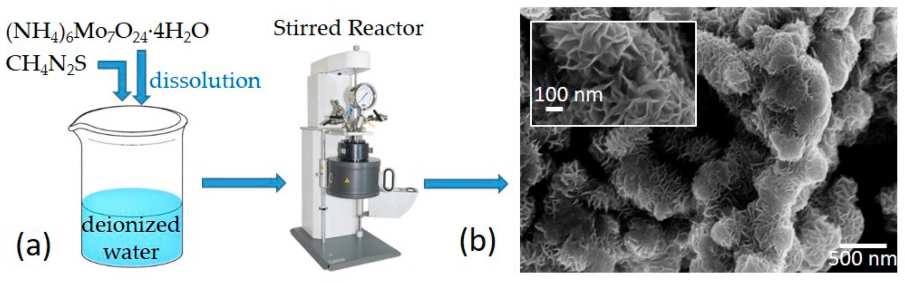 Nanomaterials 09 00717 g001