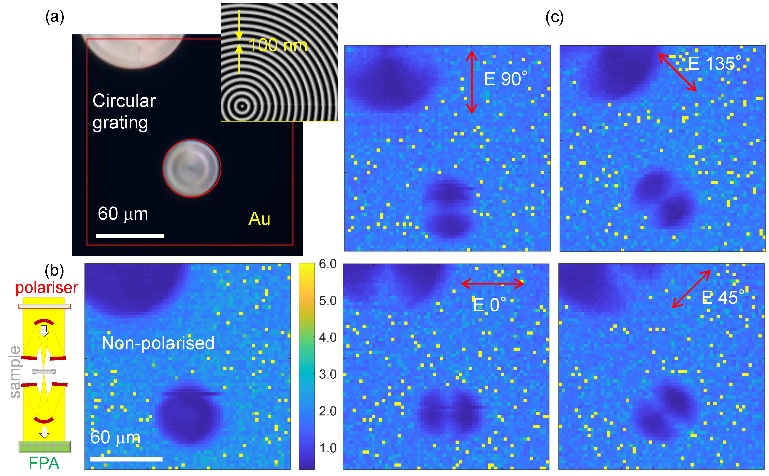 Nanomaterials 09 00732 g001