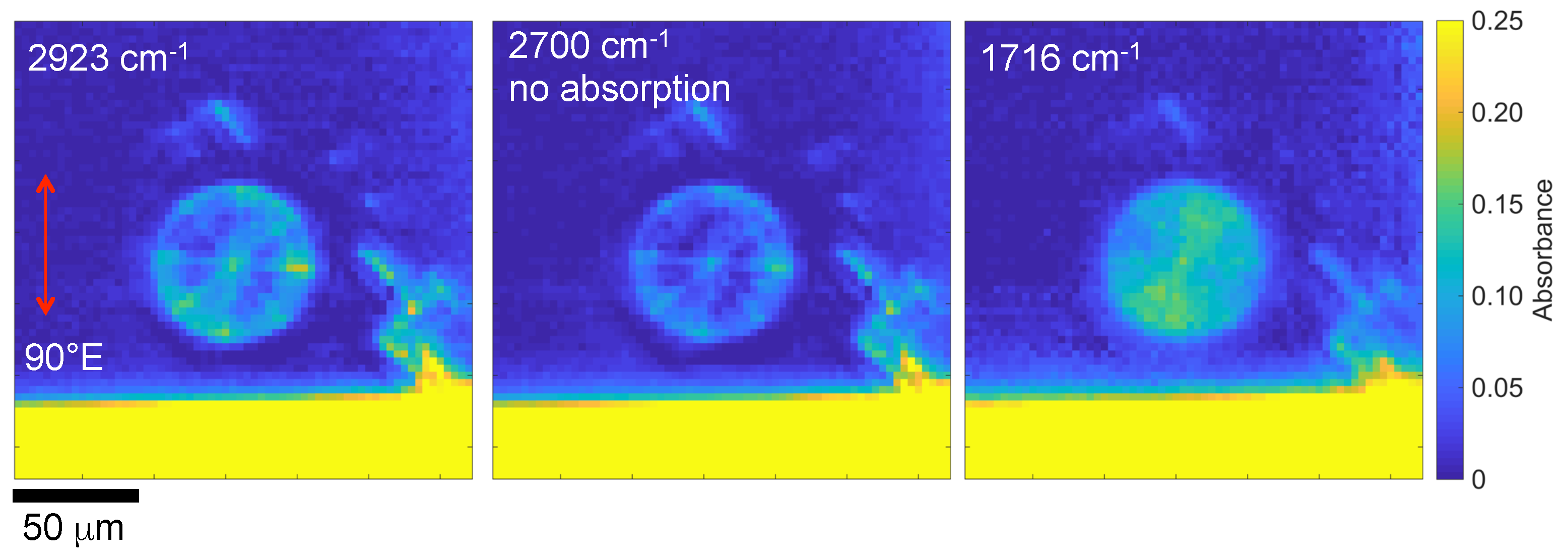 Nanomaterials 09 00732 g004