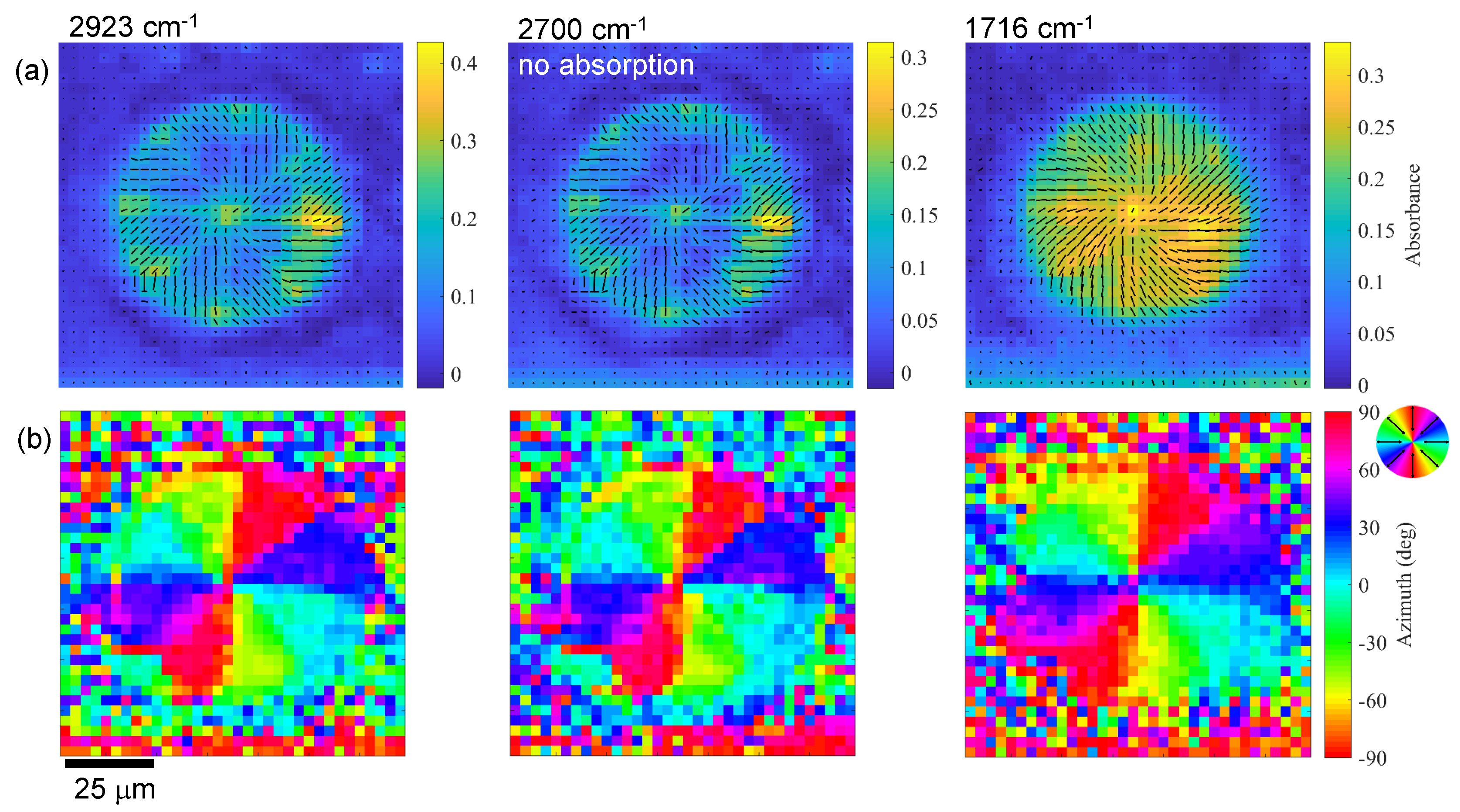 Nanomaterials 09 00732 g005