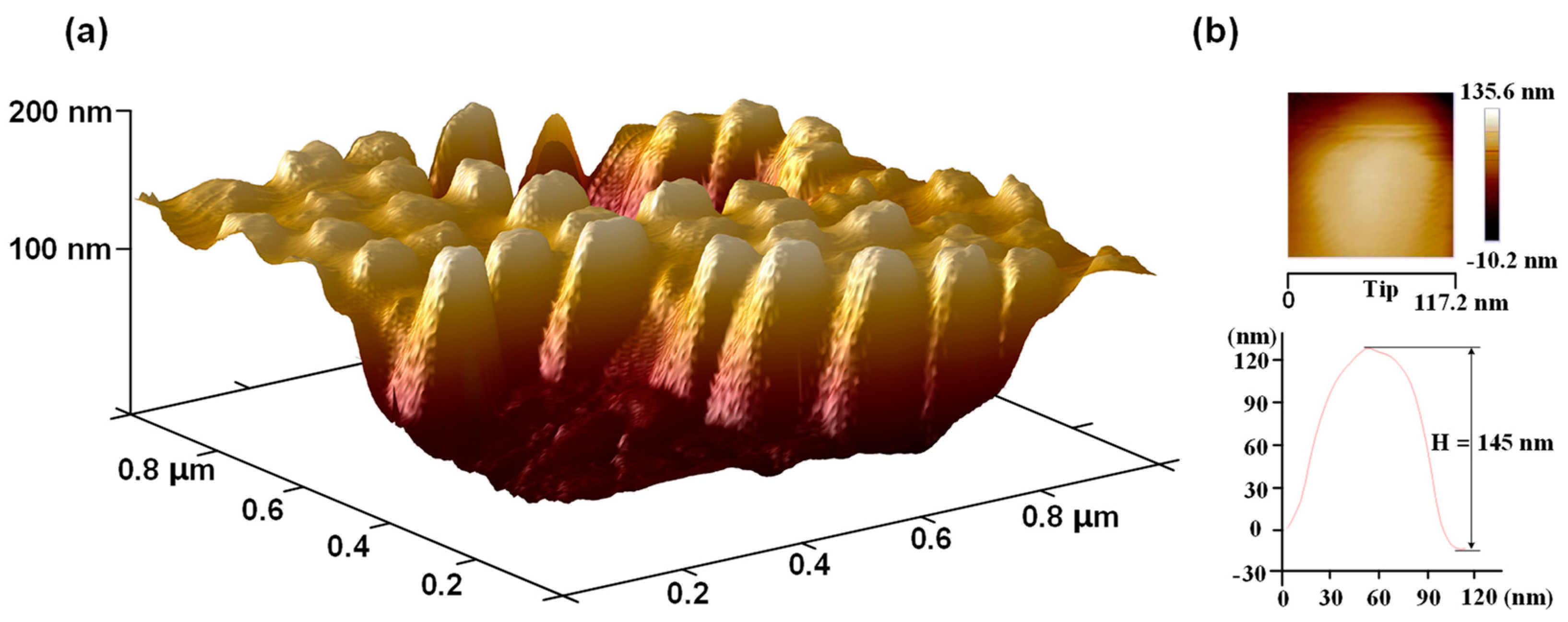 Nanomaterials 09 00747 g010 Nanomaterials 09 00747 g010