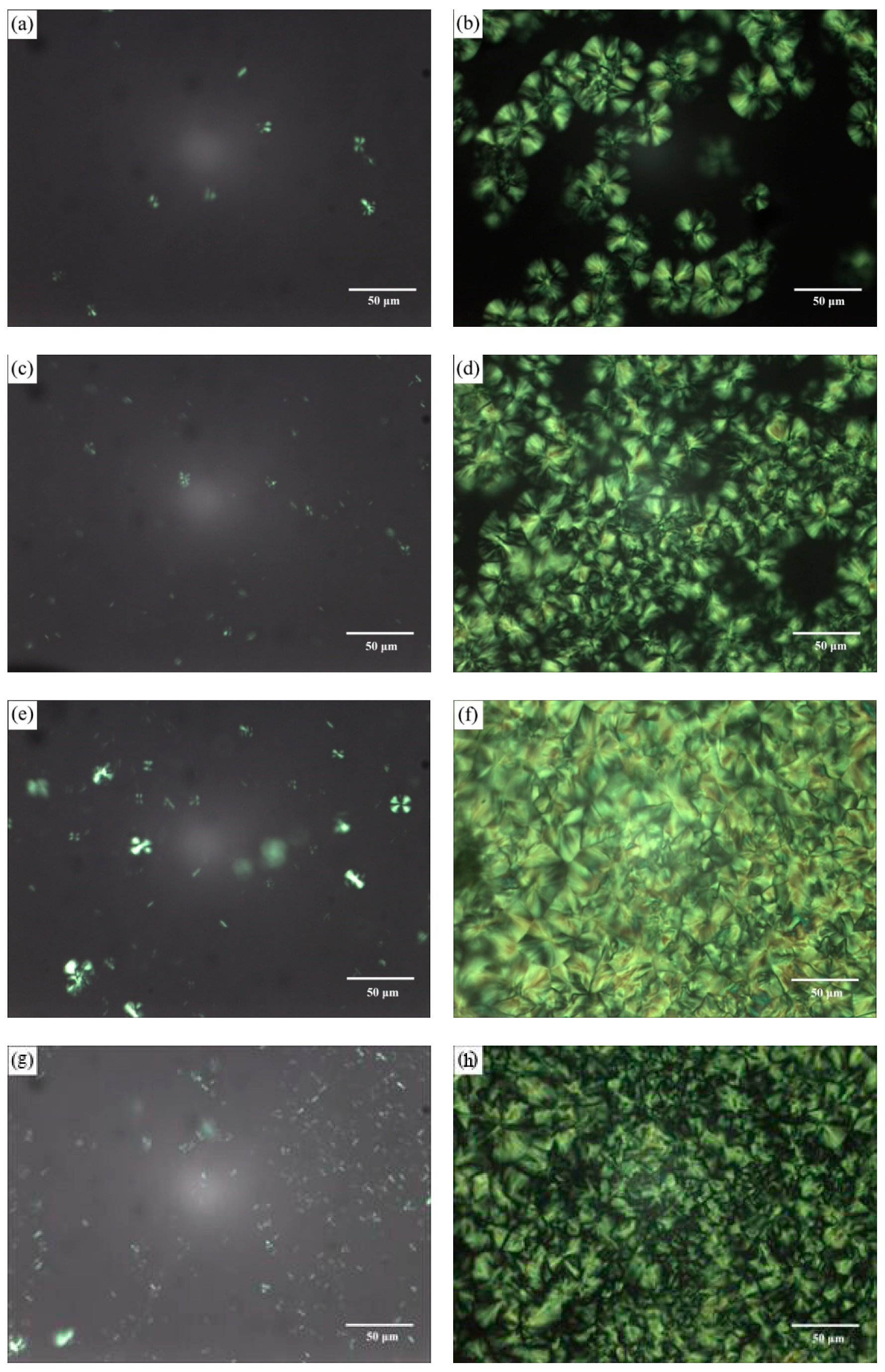 Nanomaterials 09 00748 g005 550