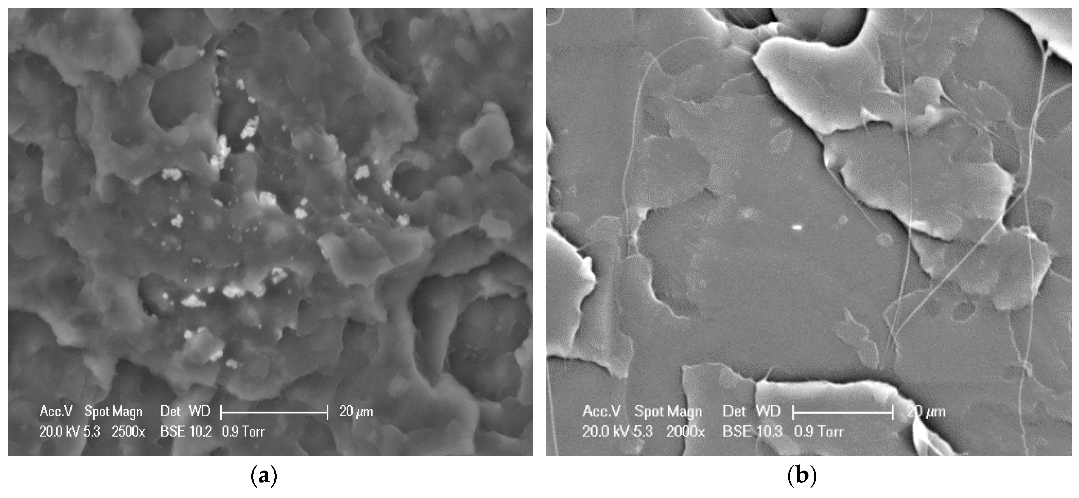 Nanomaterials 09 00748 g009 550