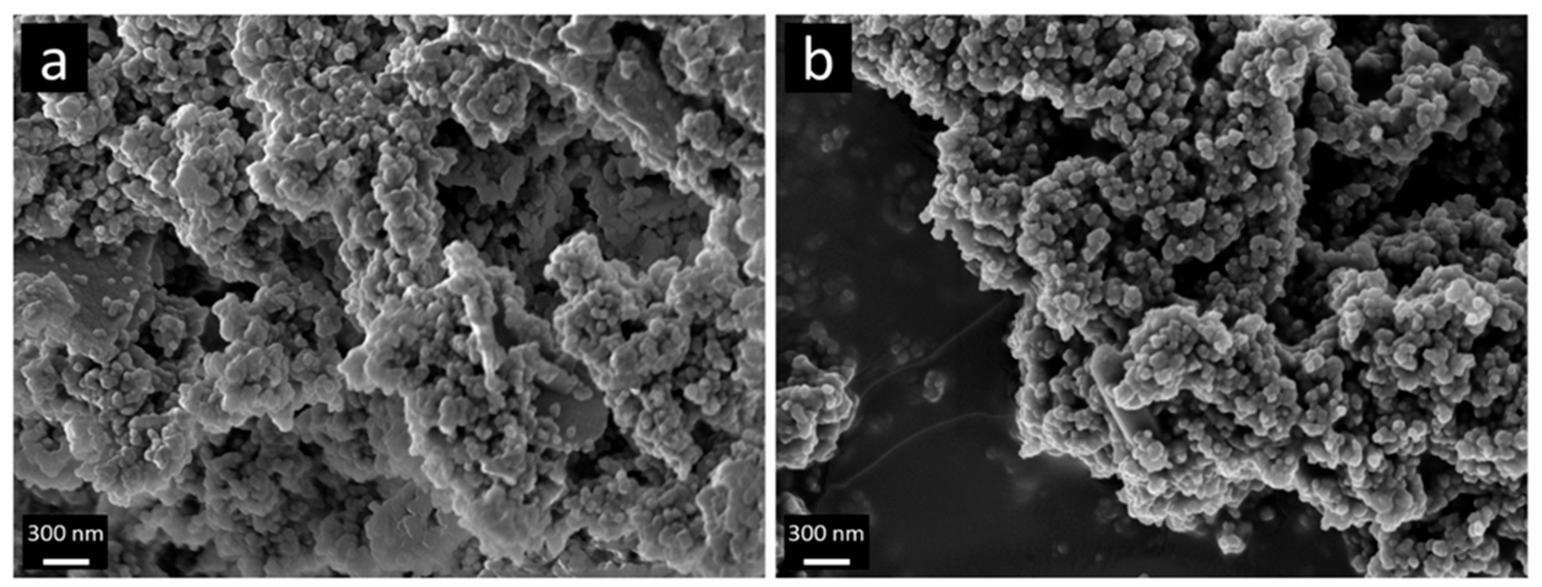 Nanomaterials 09 00754 g001